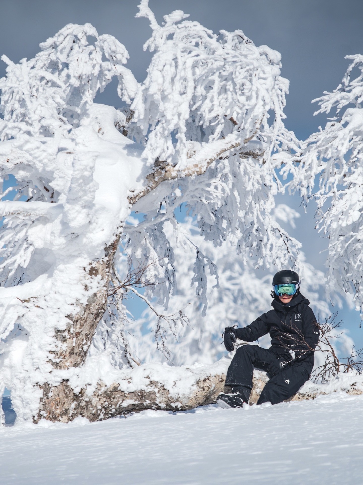 แอน - อลิชา หิรัญพฤกษ์