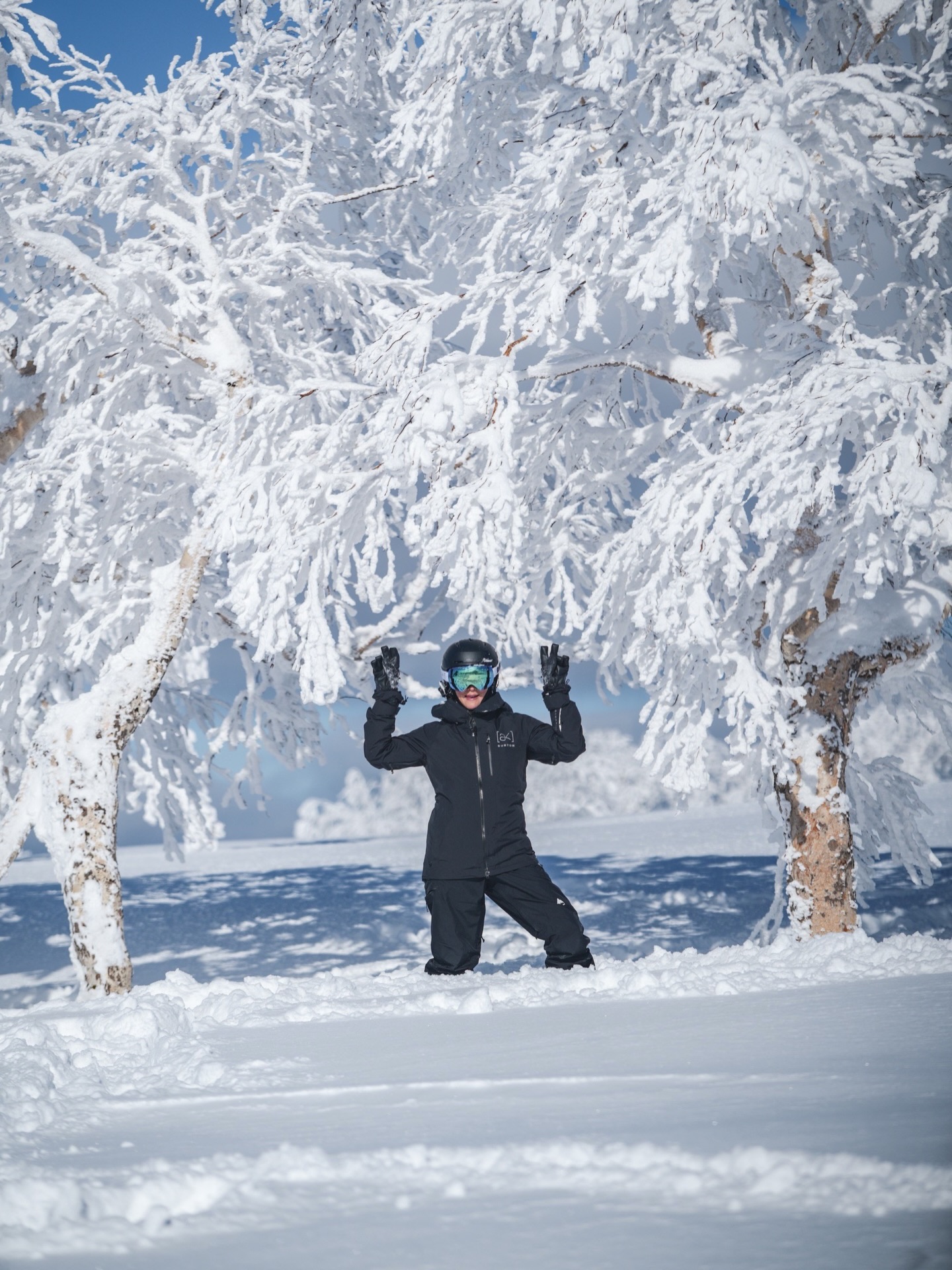 แอน - อลิชา หิรัญพฤกษ์