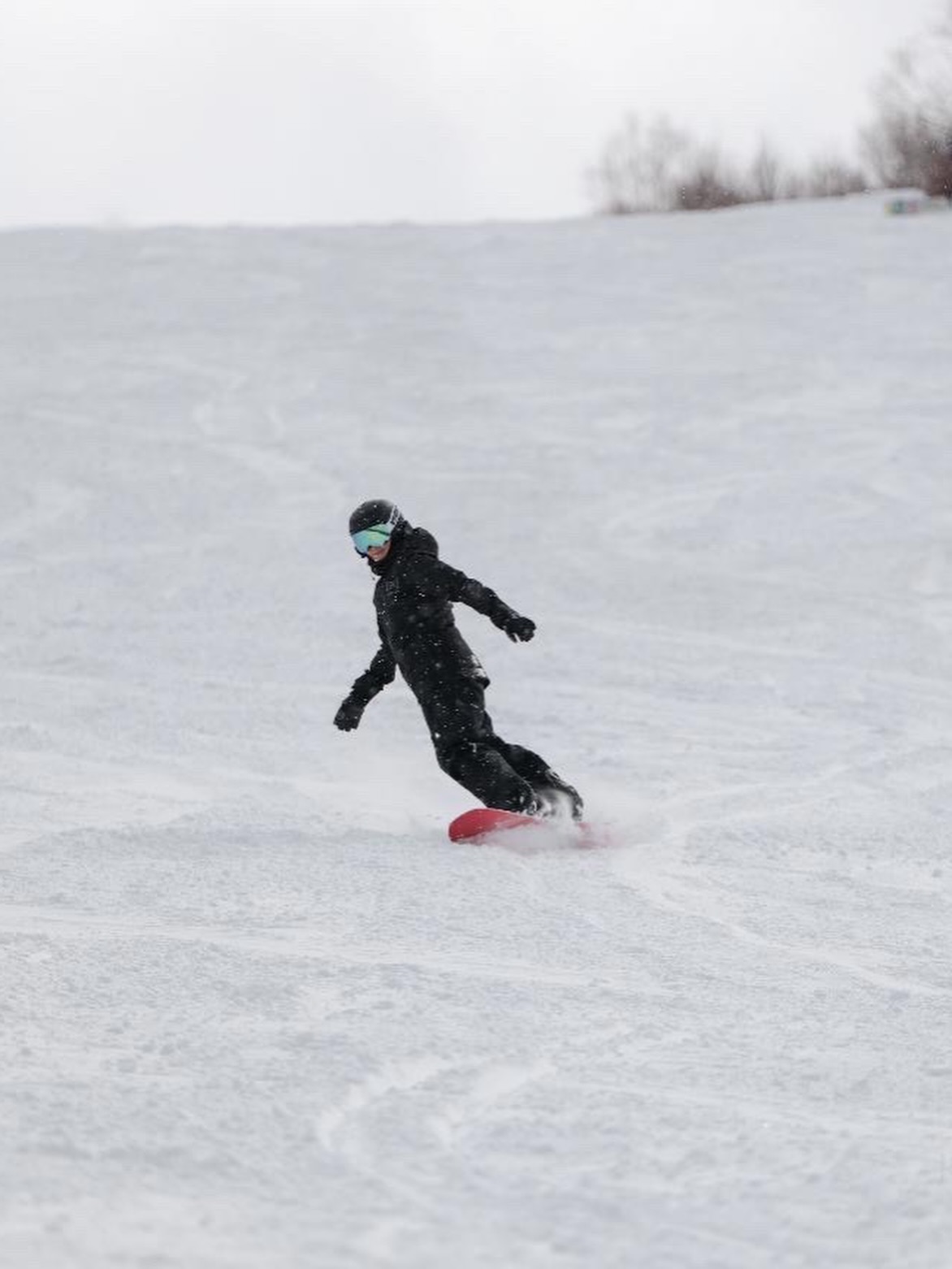 แอน - อลิชา หิรัญพฤกษ์