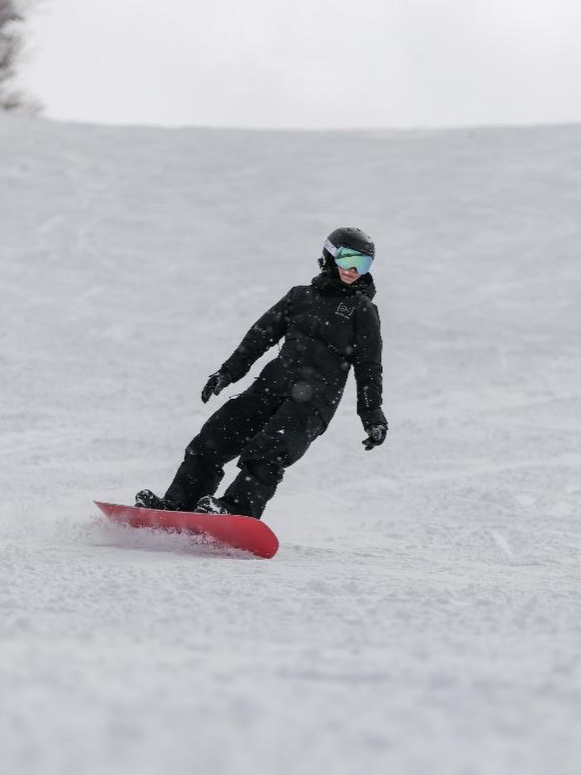 แอน - อลิชา หิรัญพฤกษ์