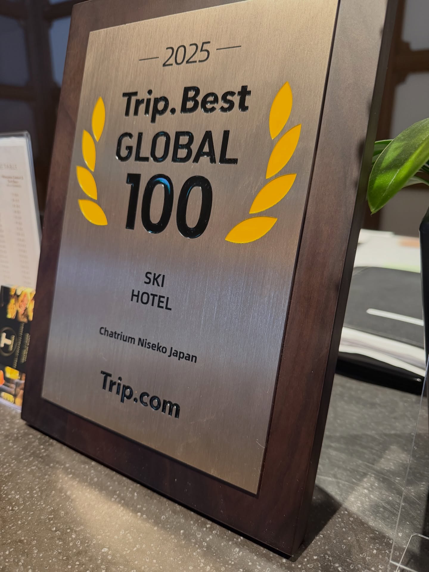 แอน - อลิชา หิรัญพฤกษ์