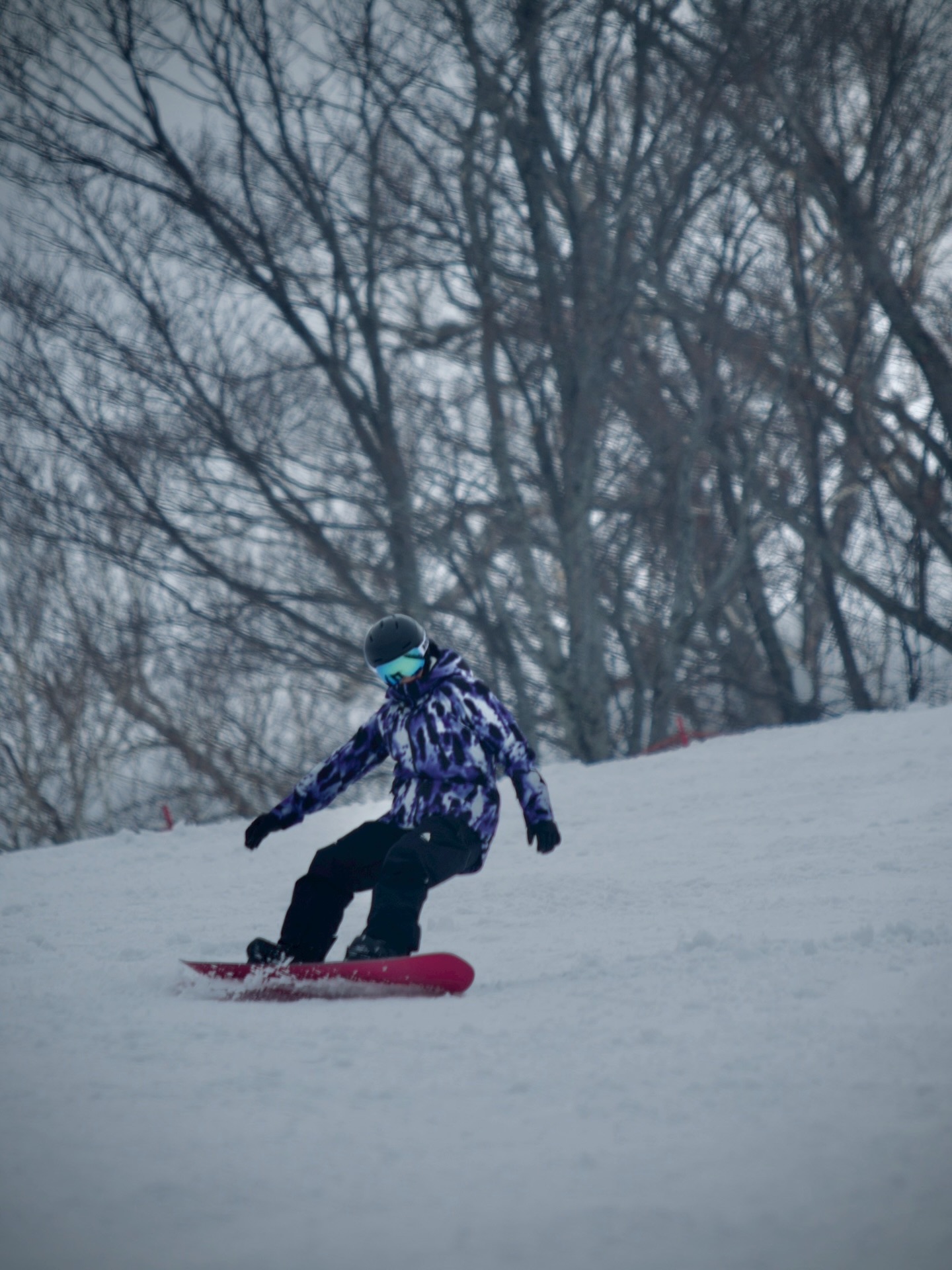 แอน - อลิชา หิรัญพฤกษ์