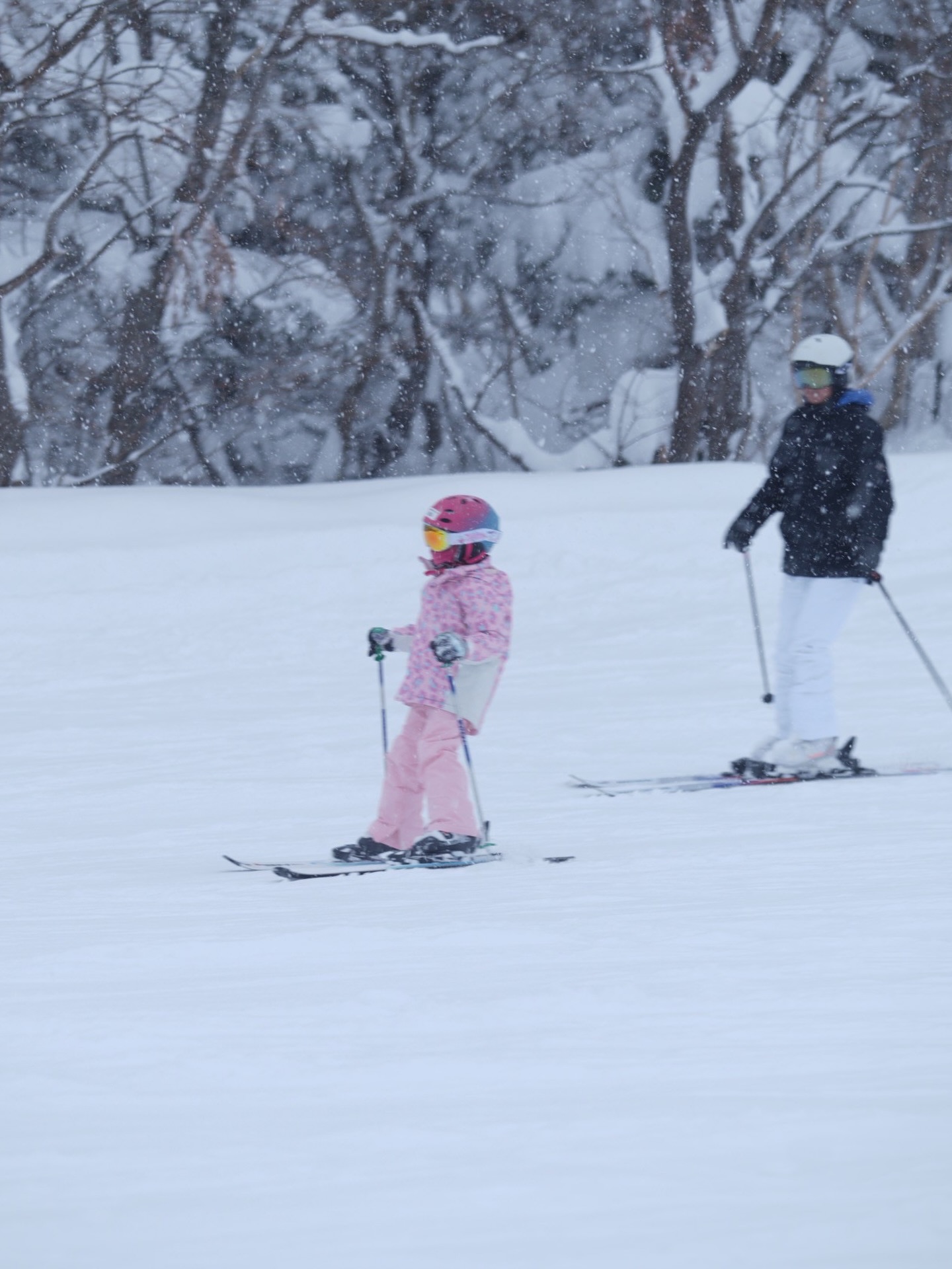 แอน - อลิชา หิรัญพฤกษ์