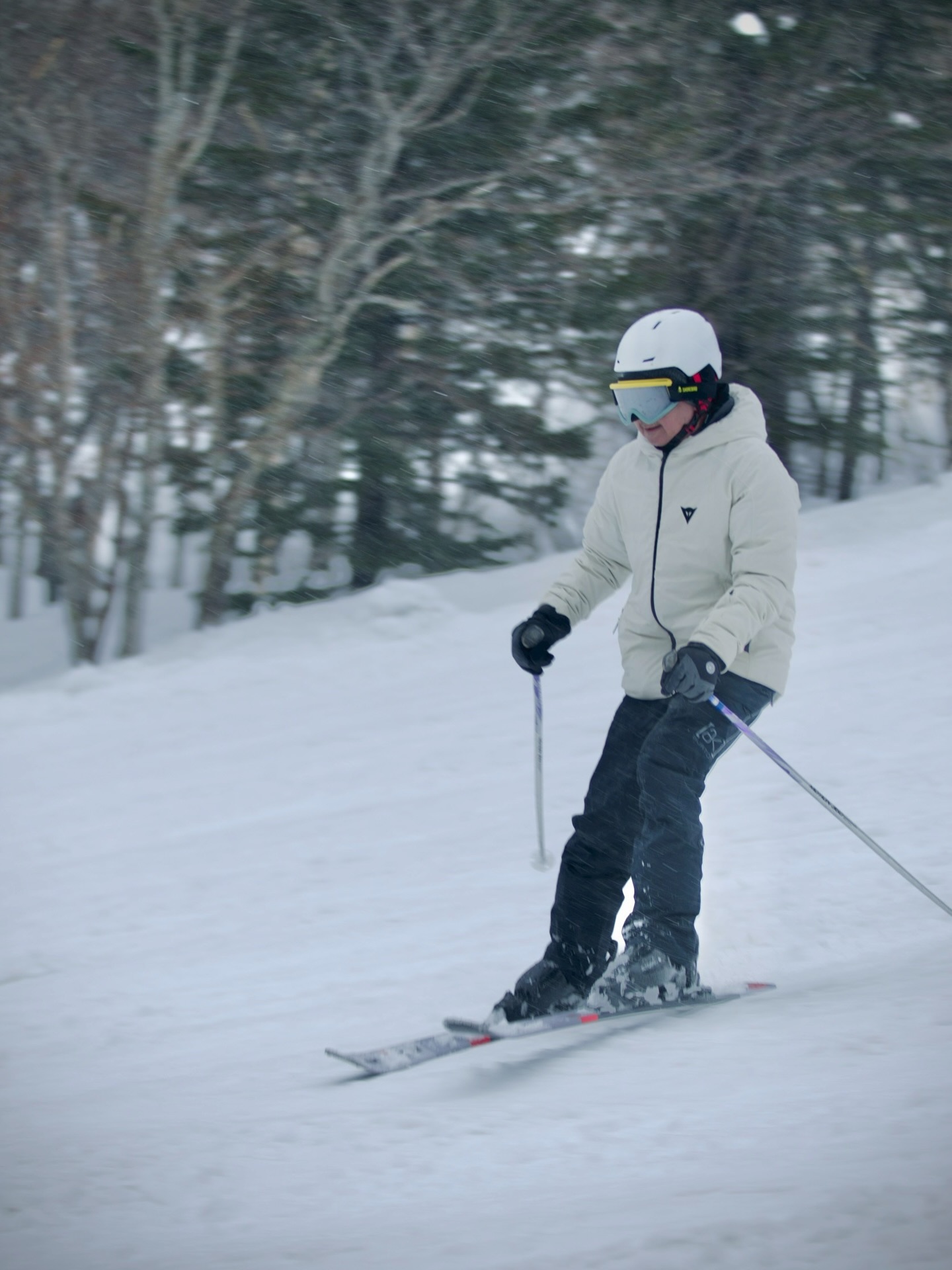 แอน - อลิชา หิรัญพฤกษ์