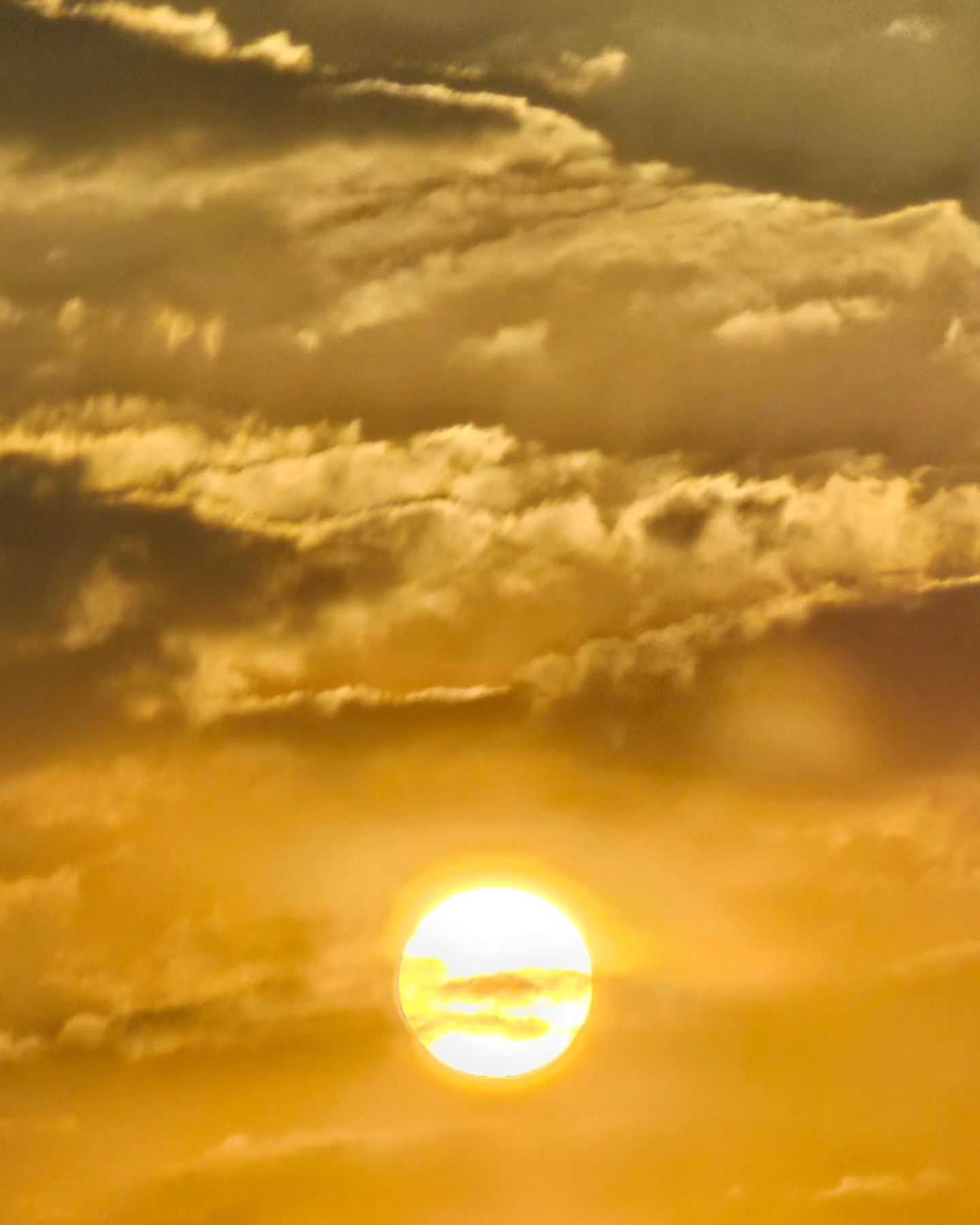 แอฟ - ทักษอร ภักดิ์สุขเจริญ