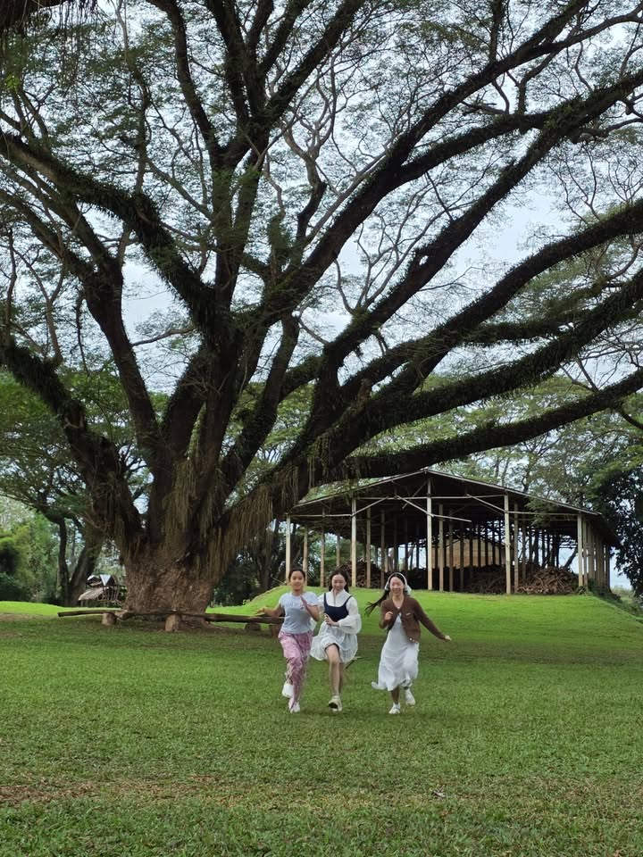 แอฟ - ทักษอร ภักดิ์สุขเจริญ