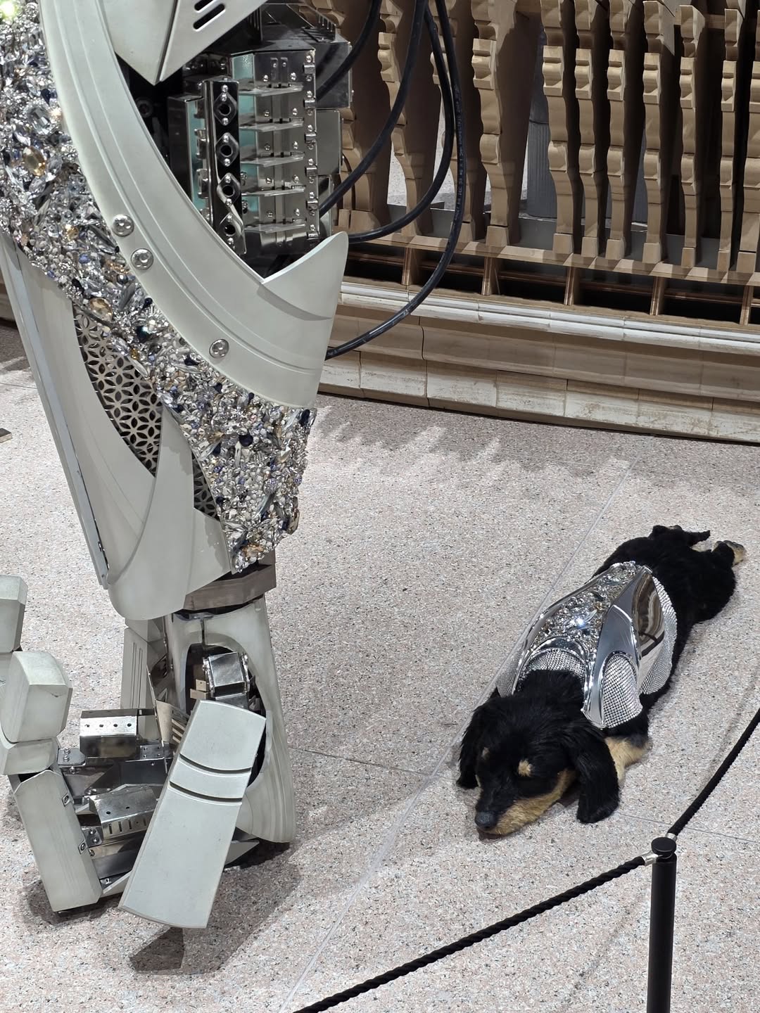 แอฟ - ทักษอร ภักดิ์สุขเจริญ