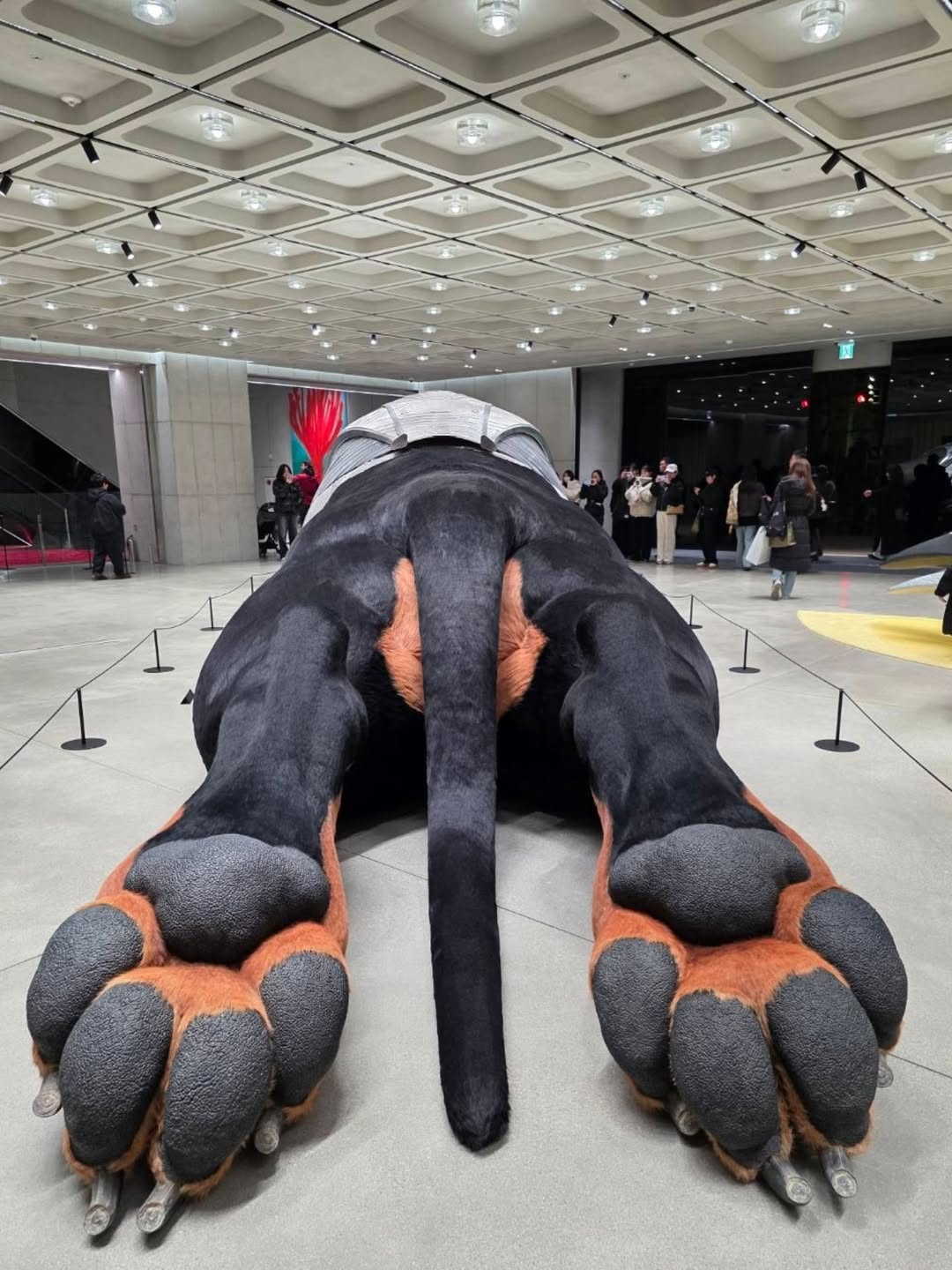 แอฟ - ทักษอร ภักดิ์สุขเจริญ