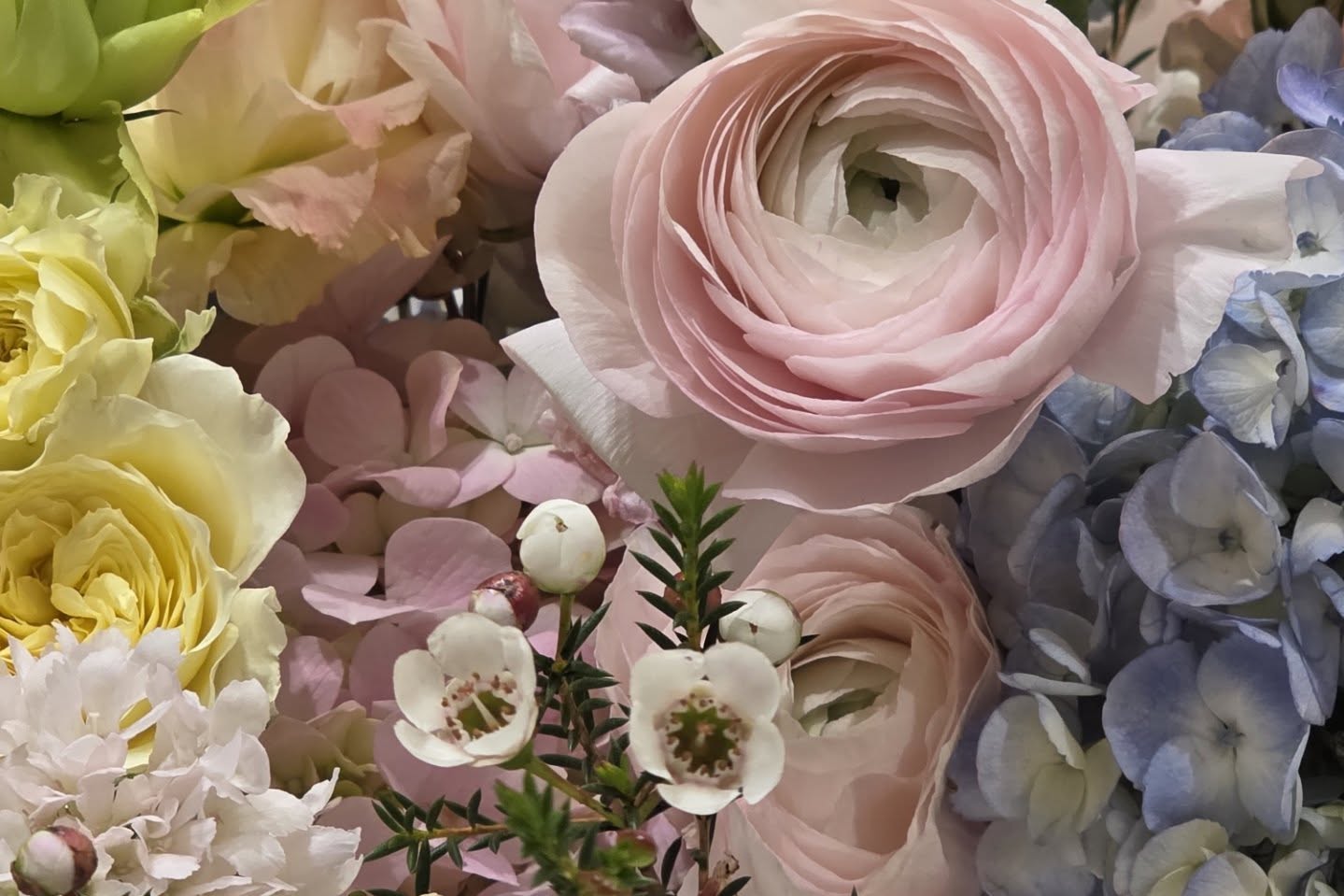 แอฟ - ทักษอร ภักดิ์สุขเจริญ