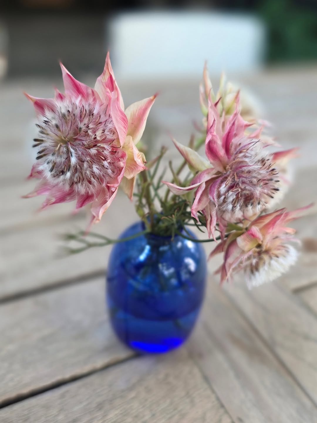 แอฟ - ทักษอร ภักดิ์สุขเจริญ