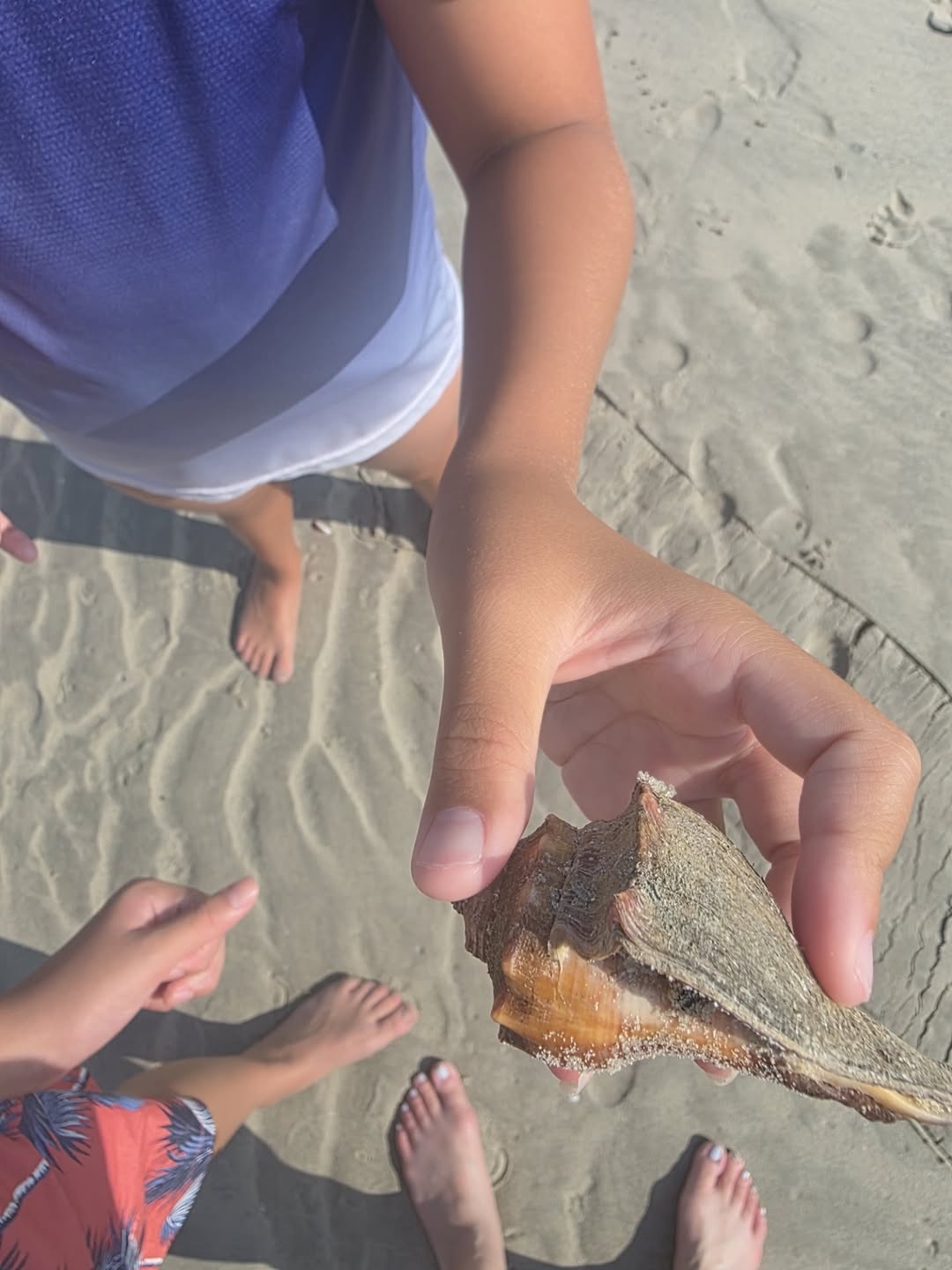 แอฟ - ทักษอร ภักดิ์สุขเจริญ