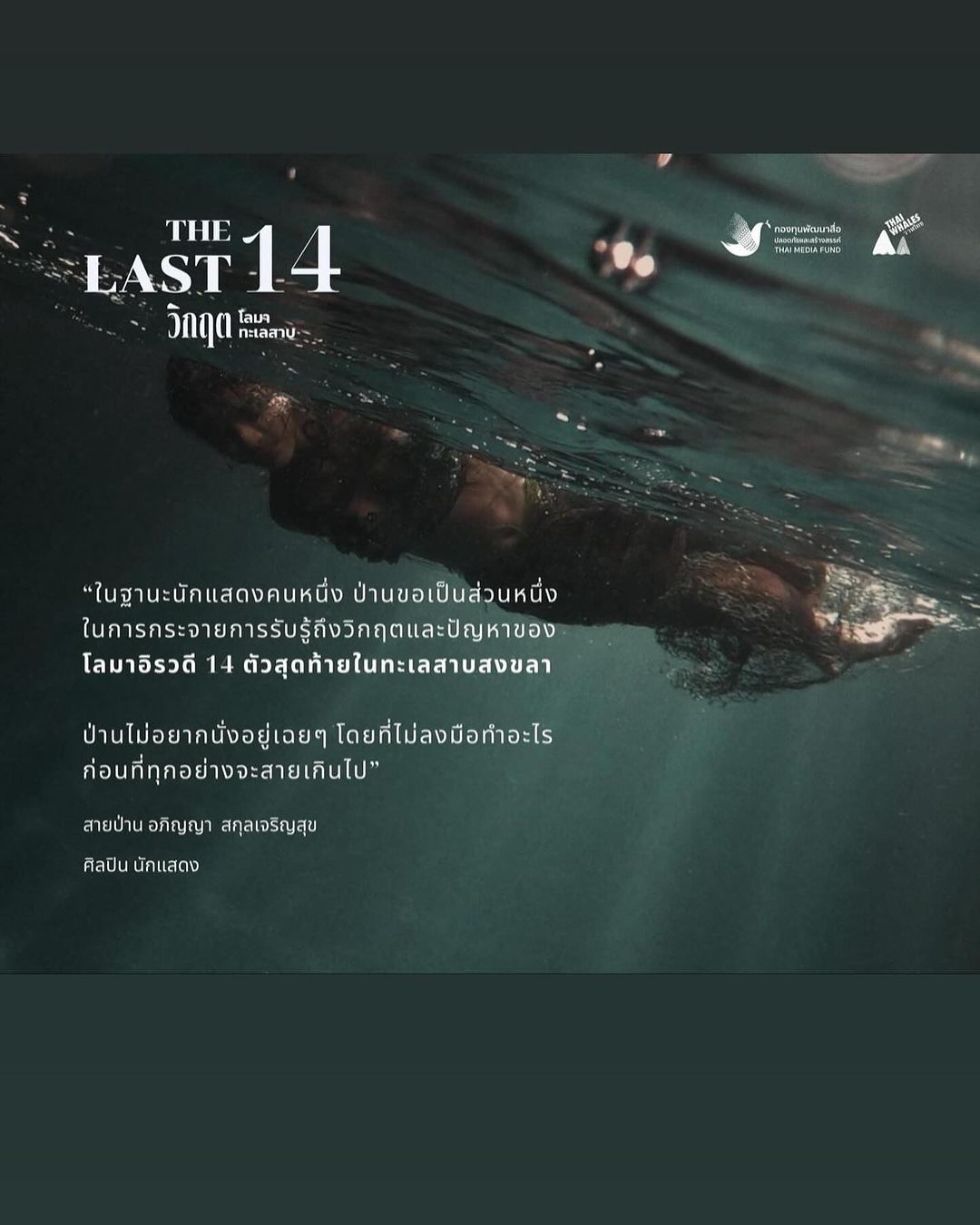 สายป่าน - อภิญญา สกุลเจริญสุข
