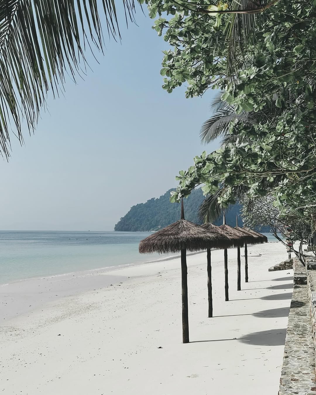สายป่าน - อภิญญา สกุลเจริญสุข