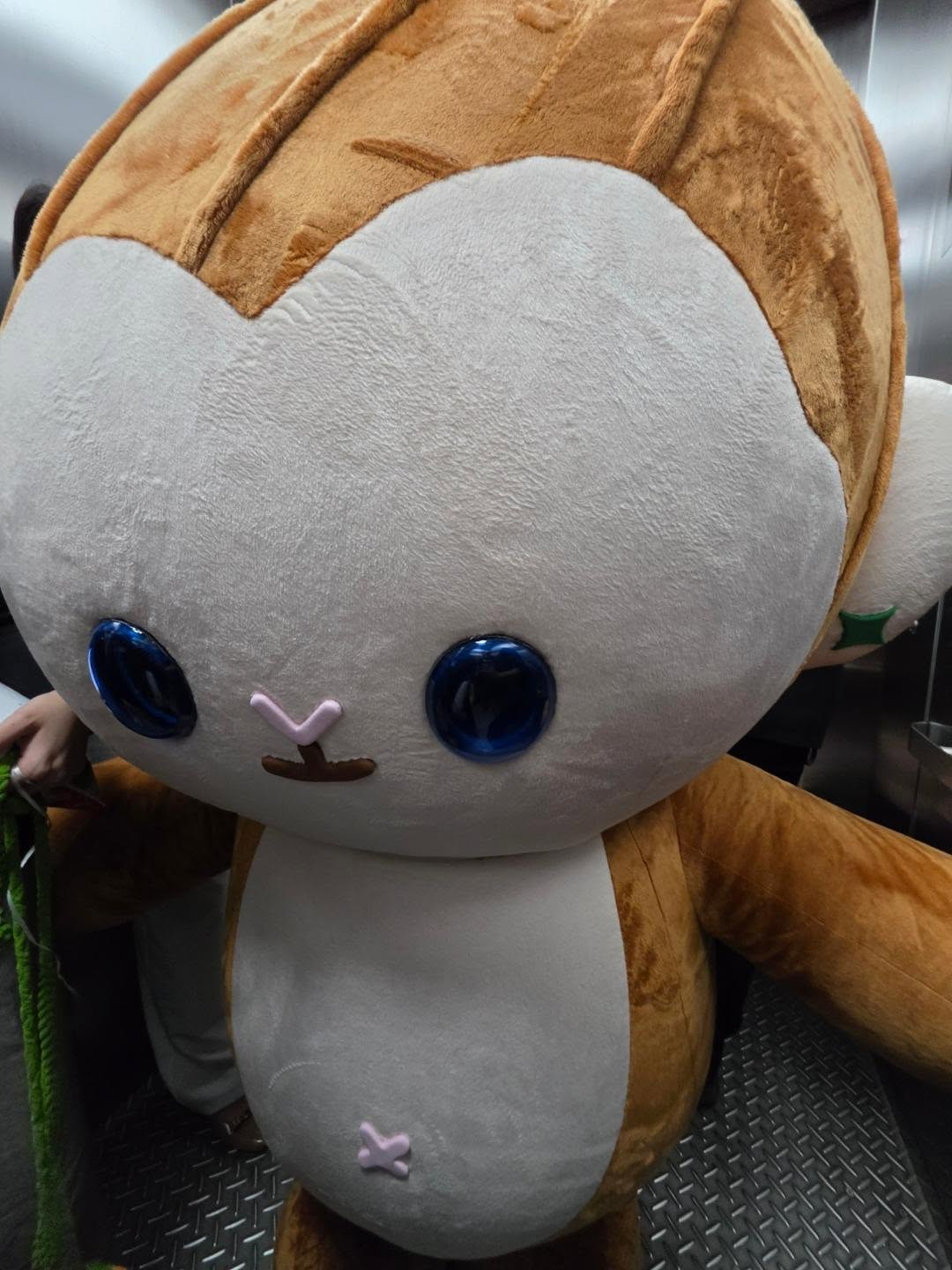 แอลม่อน - ภูมิสุวรรณ สุวรรณสถิตย์