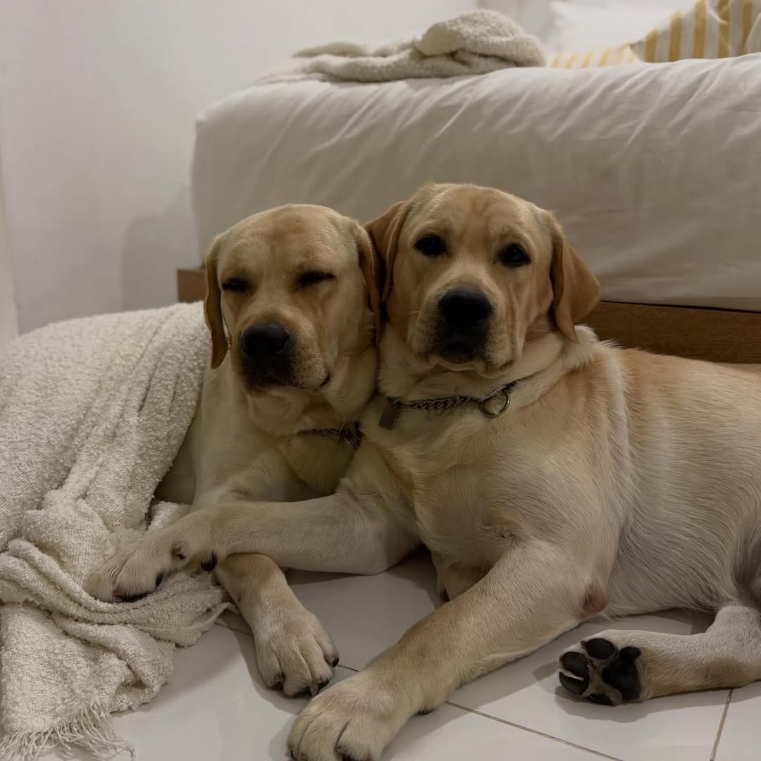 อั้ม - อธิชาติ ชุมนานนท์