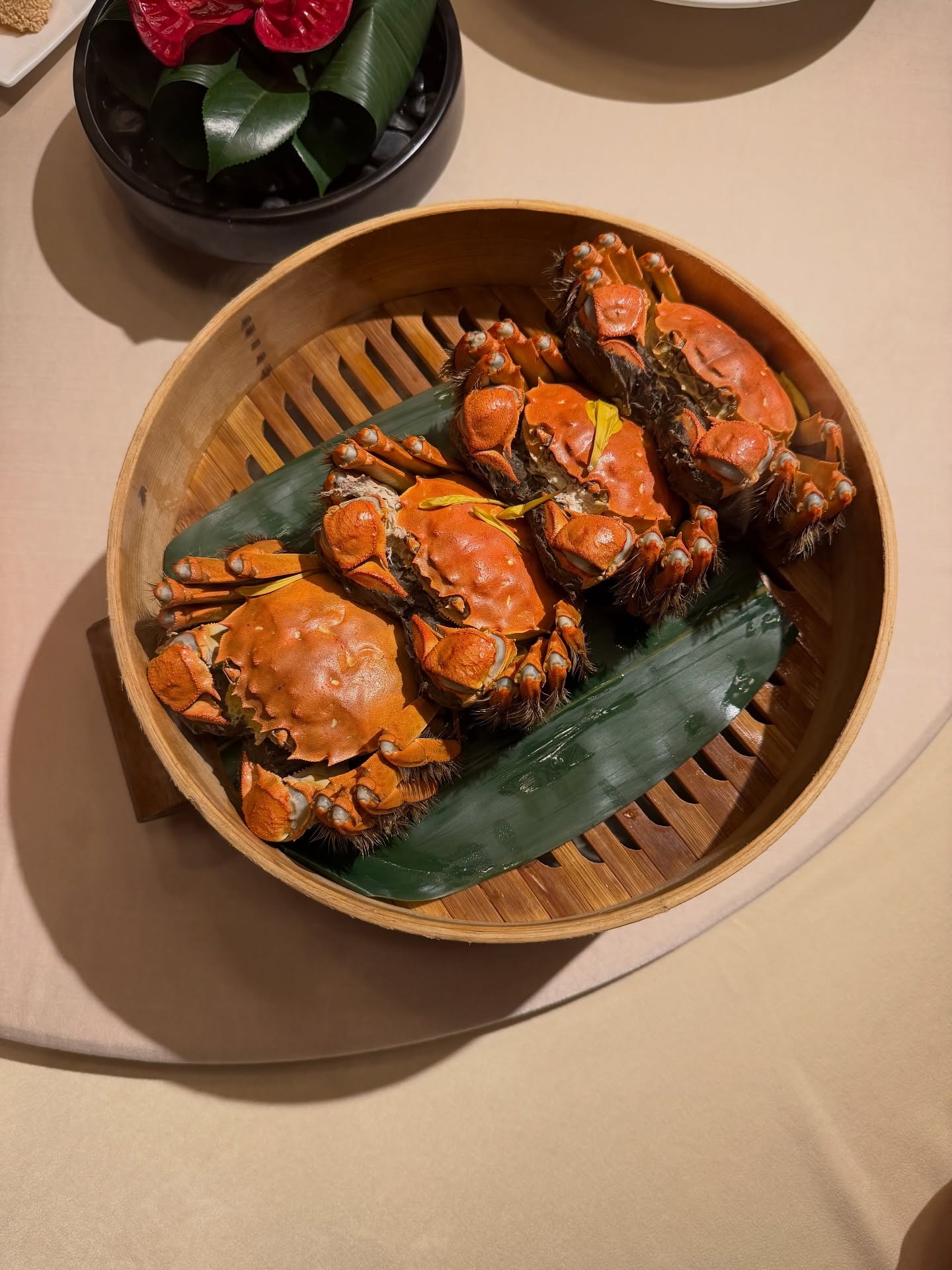 เฟย์ - พรปวีณ์ นีระสิงห์