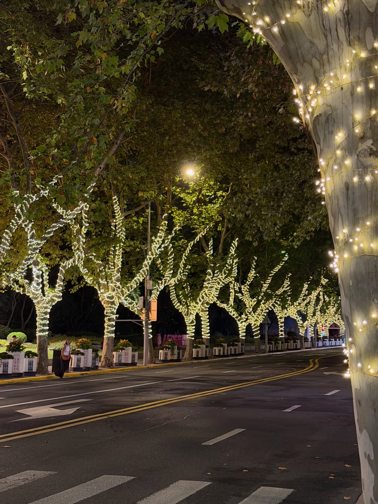 เฟย์ - พรปวีณ์ นีระสิงห์
