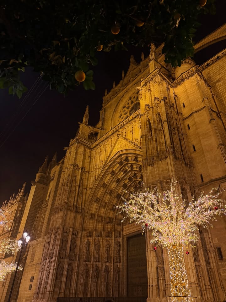 เฟย์ - พรปวีณ์ นีระสิงห์