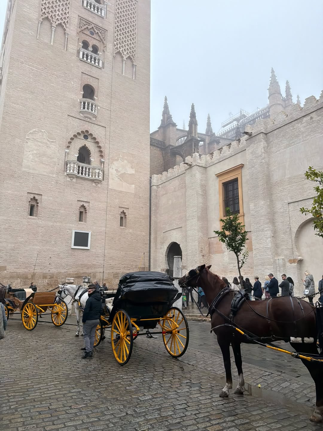 เฟย์ - พรปวีณ์ นีระสิงห์
