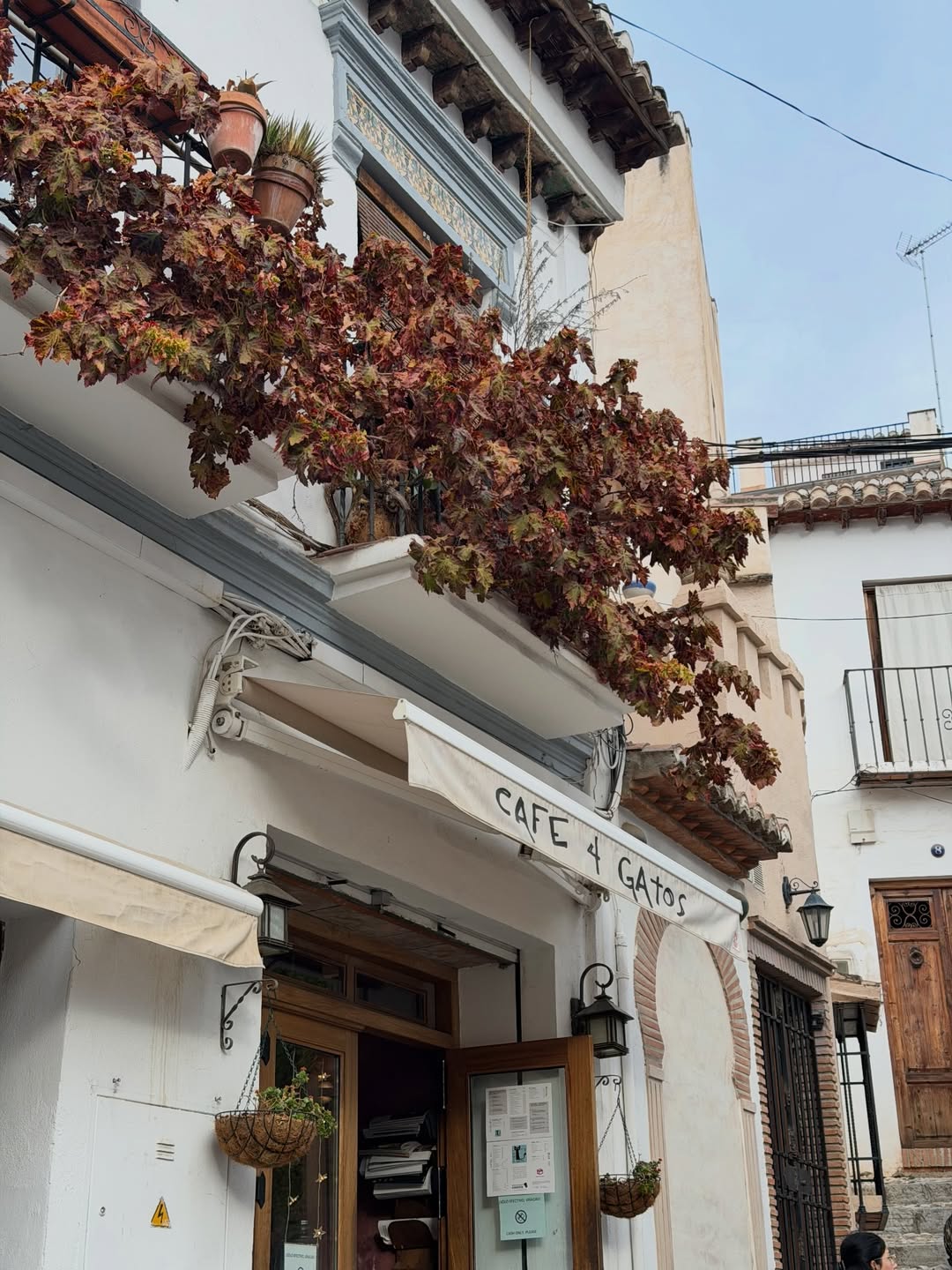 เฟย์ - พรปวีณ์ นีระสิงห์