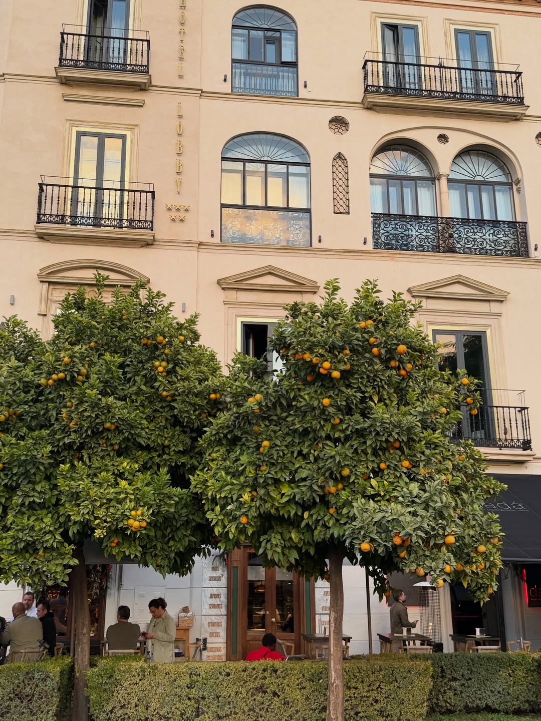 เฟย์ - พรปวีณ์ นีระสิงห์