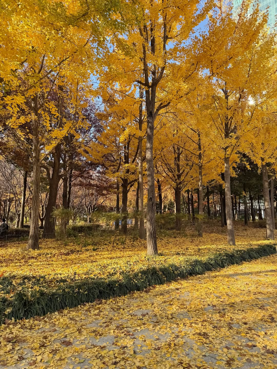 เฟย์ - พรปวีณ์ นีระสิงห์