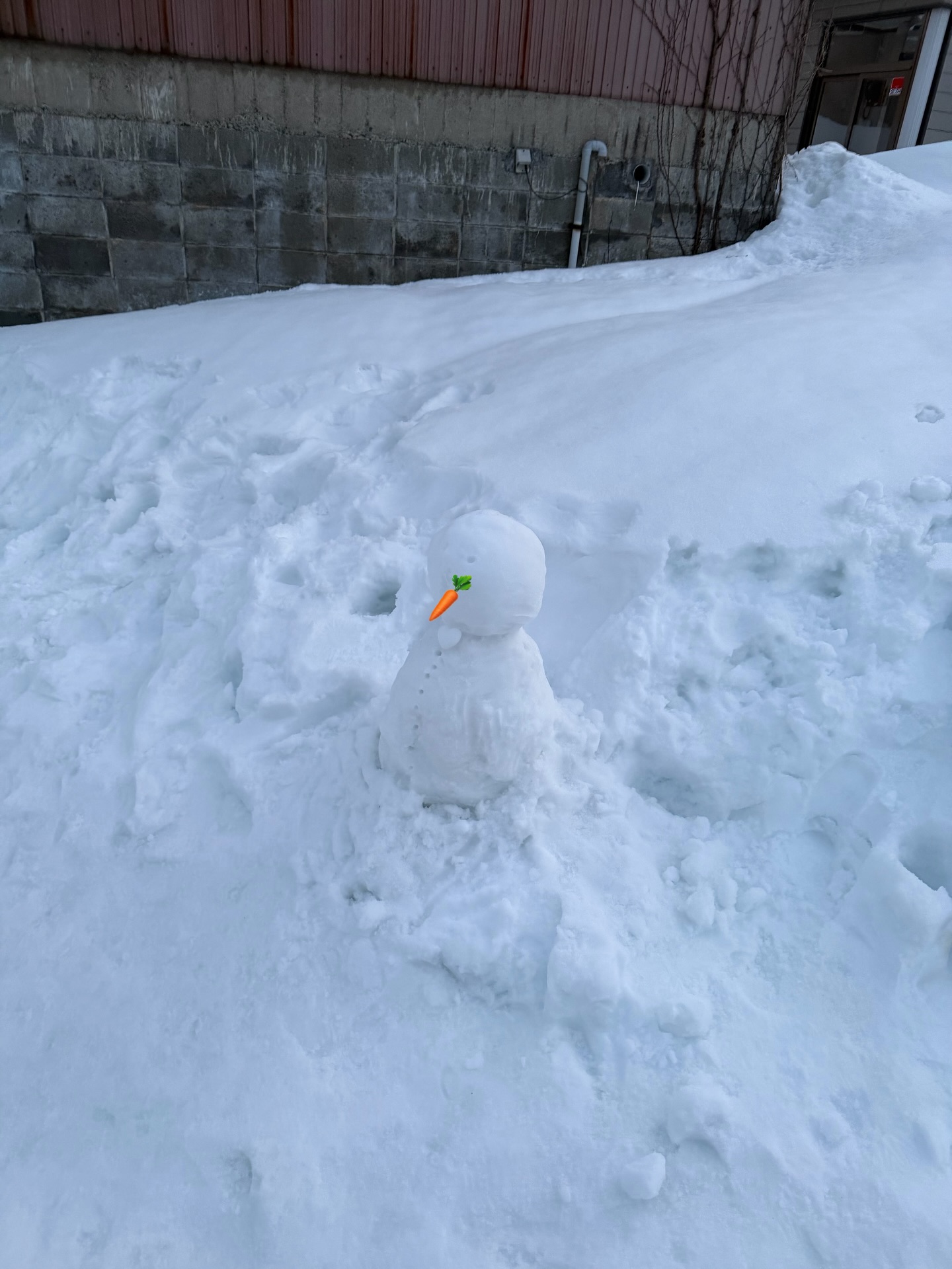 เฟย์ - พรปวีณ์ นีระสิงห์