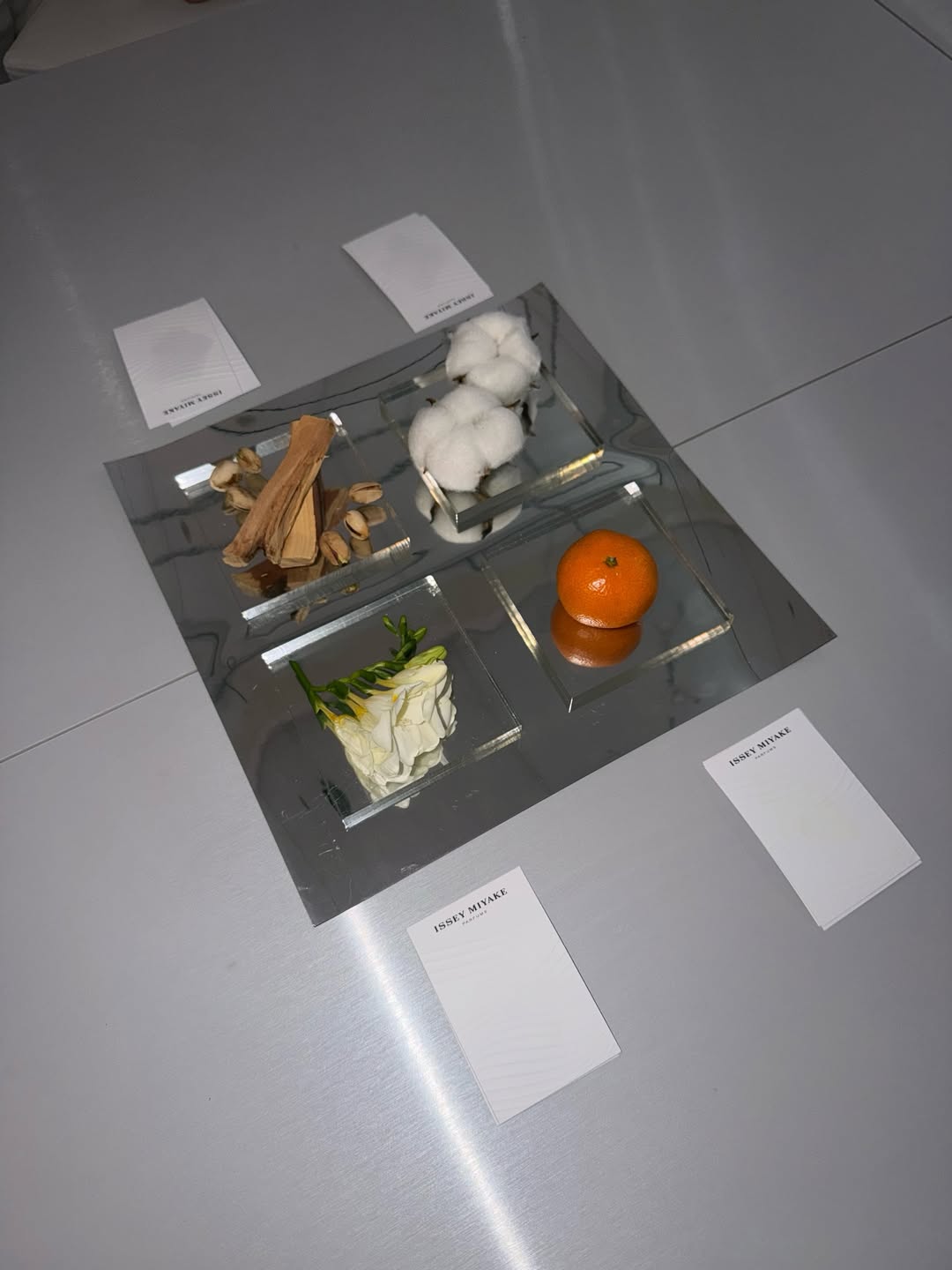 เฟย์ - พรปวีณ์ นีระสิงห์