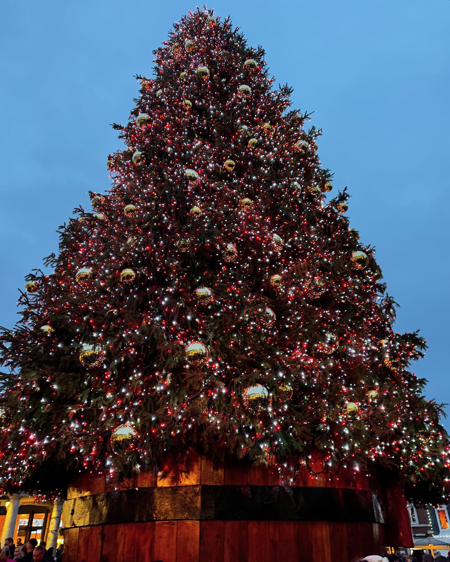 ฟาง - ธนันต์ธรญ์ นีระสิงห์