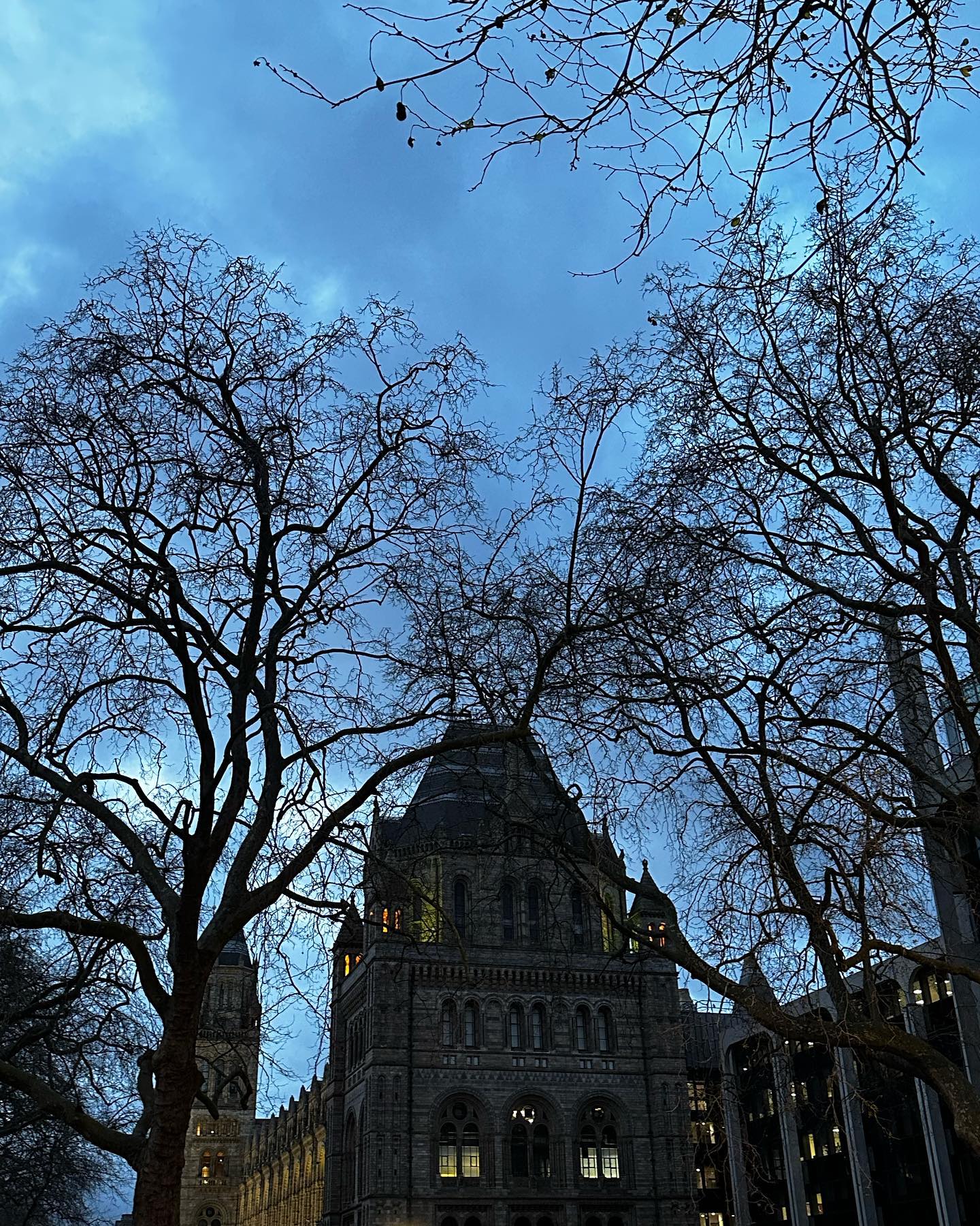 ฟาง - ธนันต์ธรญ์ นีระสิงห์