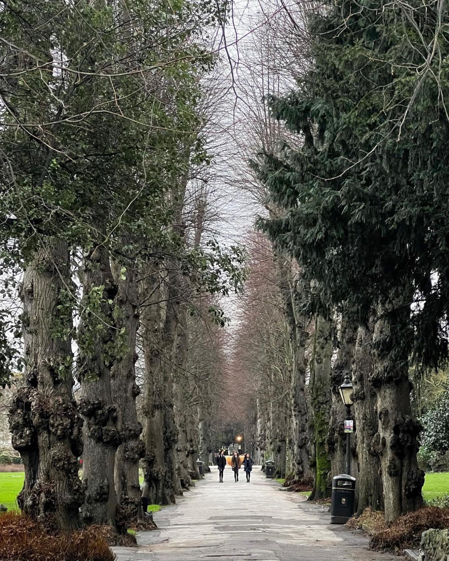 ฟาง - ธนันต์ธรญ์ นีระสิงห์