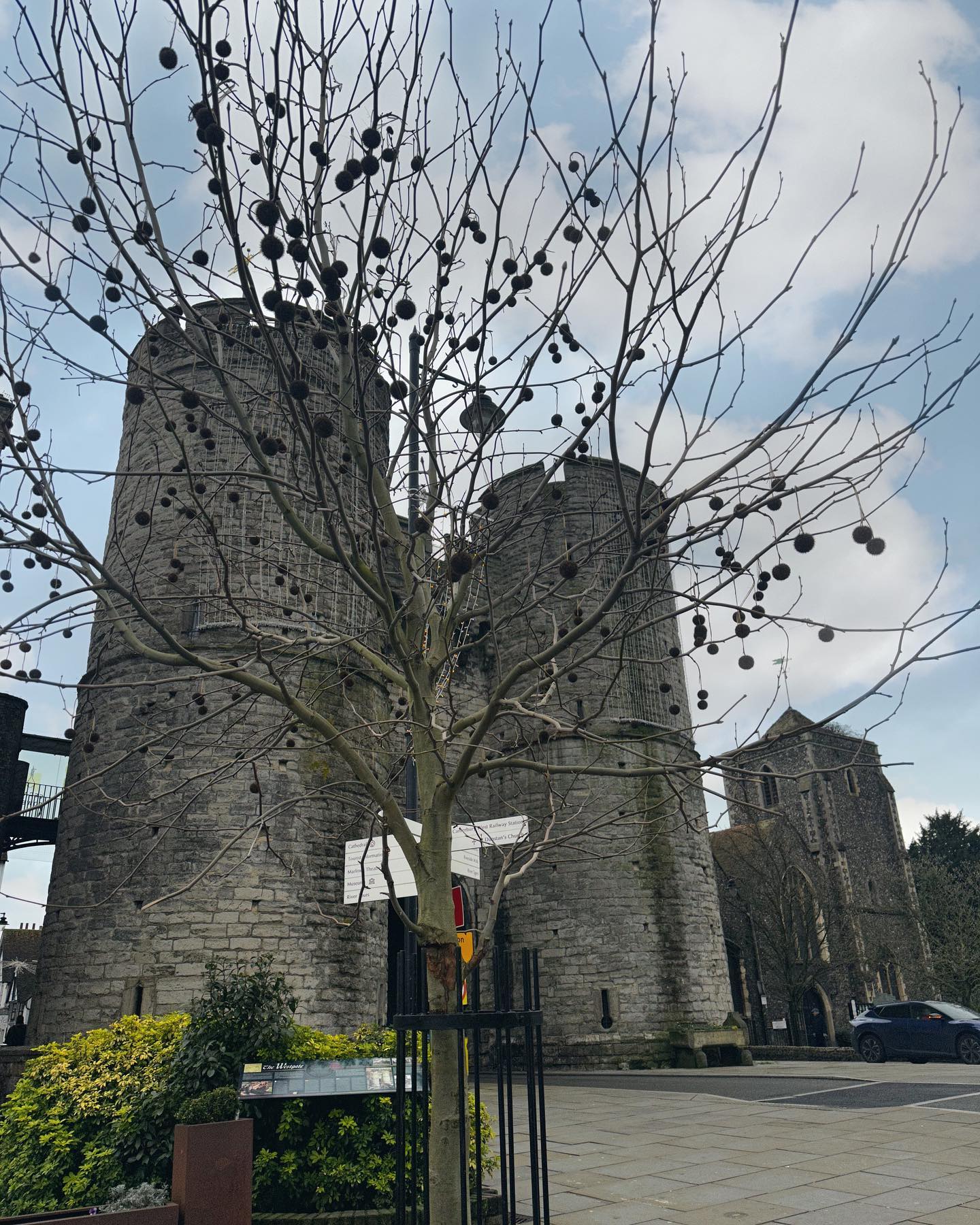 ฟาง - ธนันต์ธรญ์ นีระสิงห์