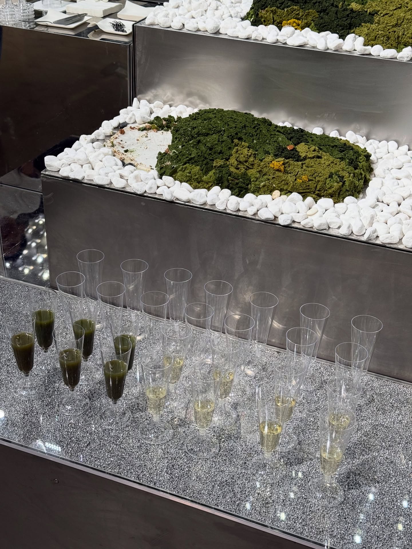 ฟาง - ธนันต์ธรญ์ นีระสิงห์