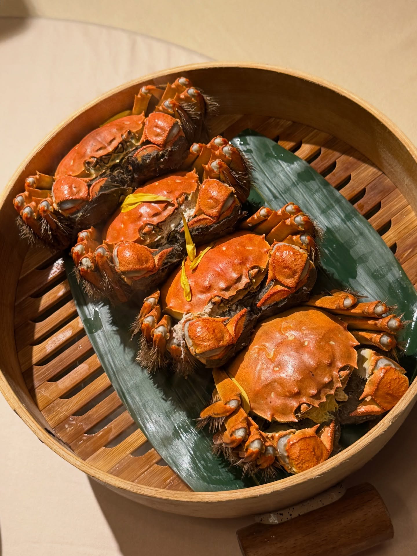 ฟาง - ธนันต์ธรญ์ นีระสิงห์