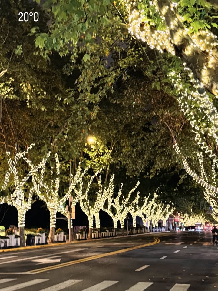 ฟาง - ธนันต์ธรญ์ นีระสิงห์