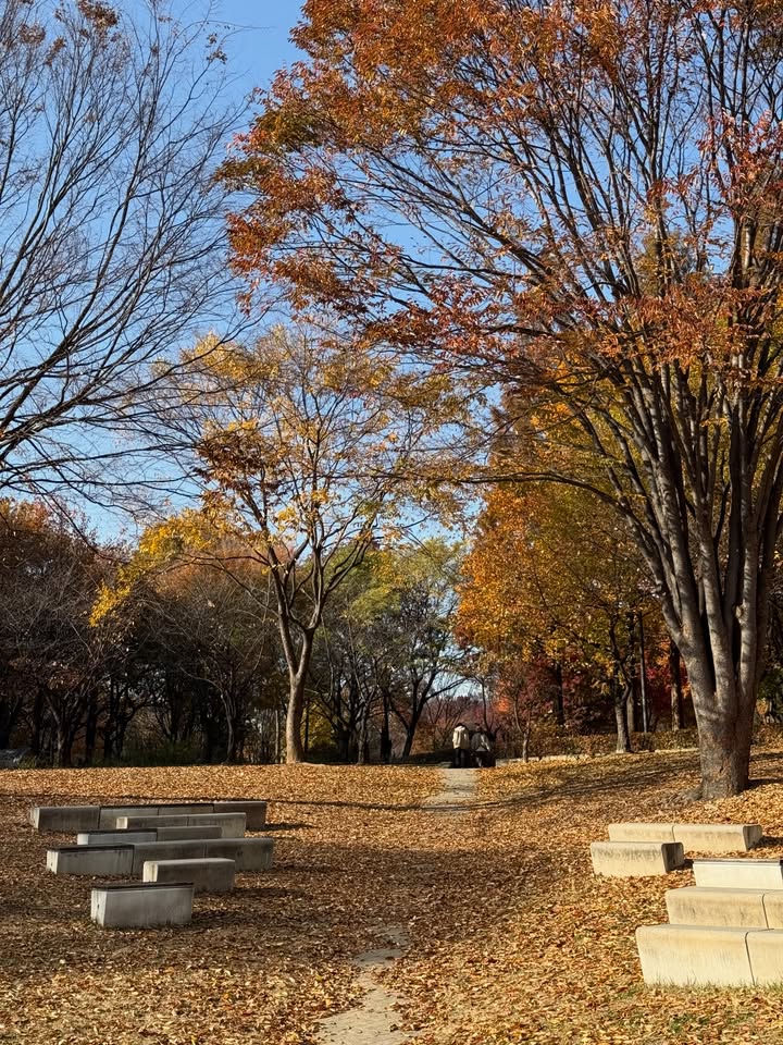 ฟาง - ธนันต์ธรญ์ นีระสิงห์