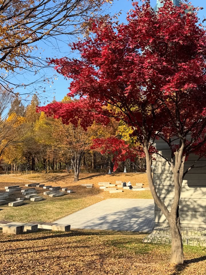 ฟาง - ธนันต์ธรญ์ นีระสิงห์