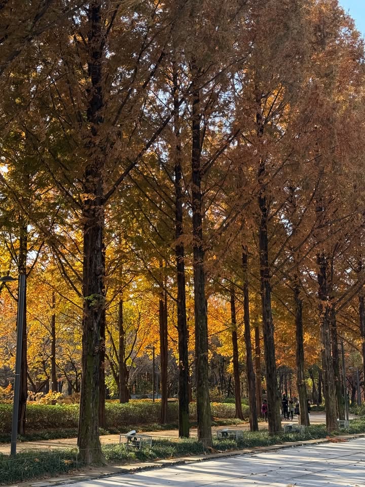 ฟาง - ธนันต์ธรญ์ นีระสิงห์