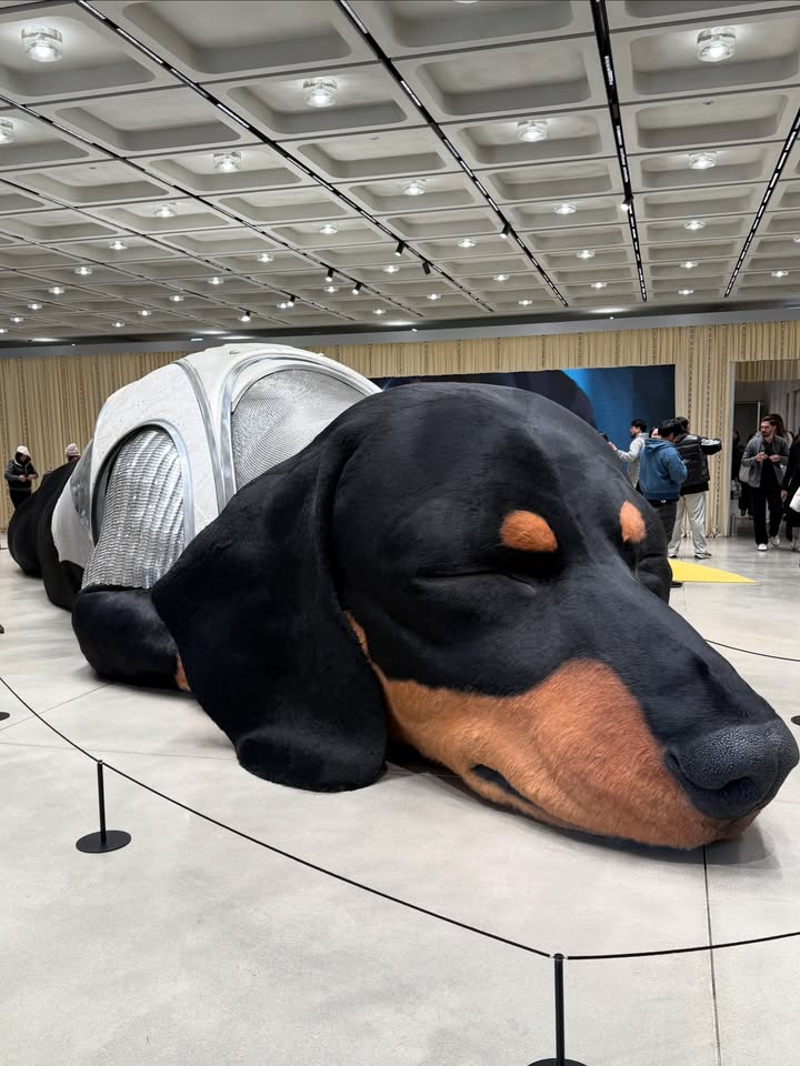 ฟาง - ธนันต์ธรญ์ นีระสิงห์