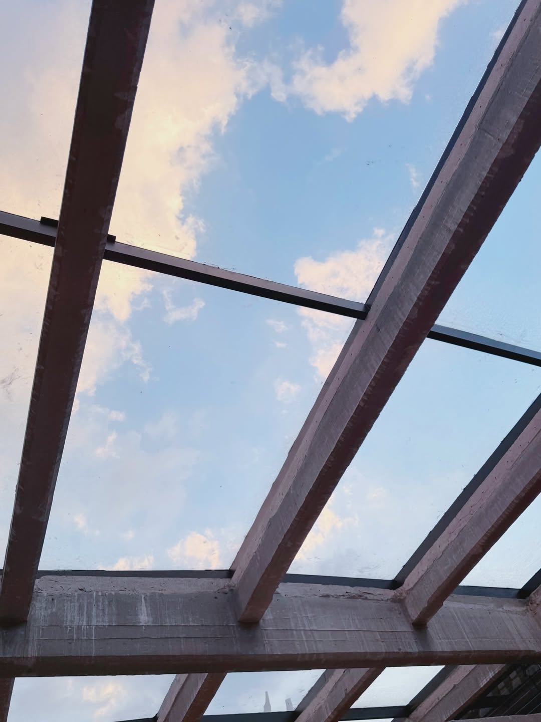 ฟาง - ธนันต์ธรญ์ นีระสิงห์