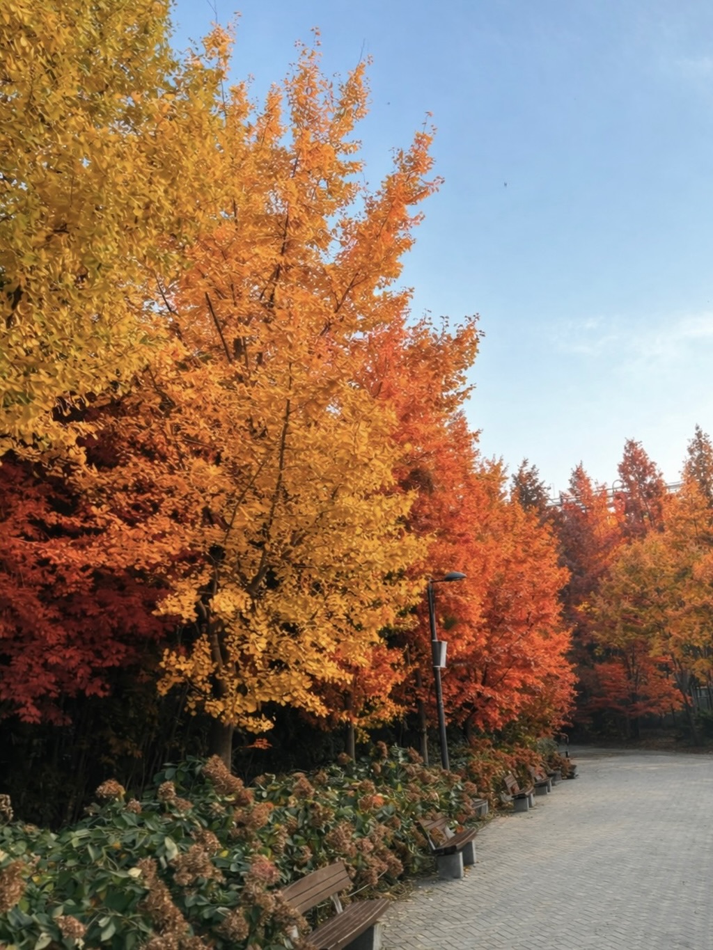 ฟาง - ธนันต์ธรญ์ นีระสิงห์