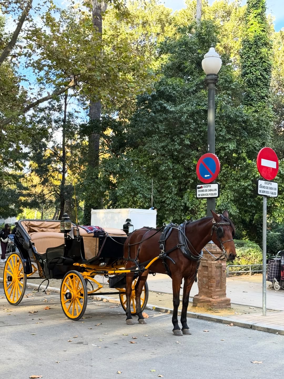ฟาง - ธนันต์ธรญ์ นีระสิงห์