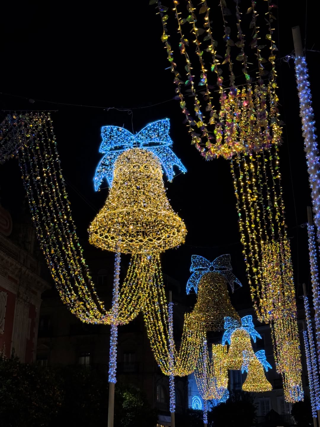 ฟาง - ธนันต์ธรญ์ นีระสิงห์