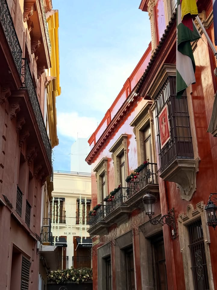 ฟาง - ธนันต์ธรญ์ นีระสิงห์