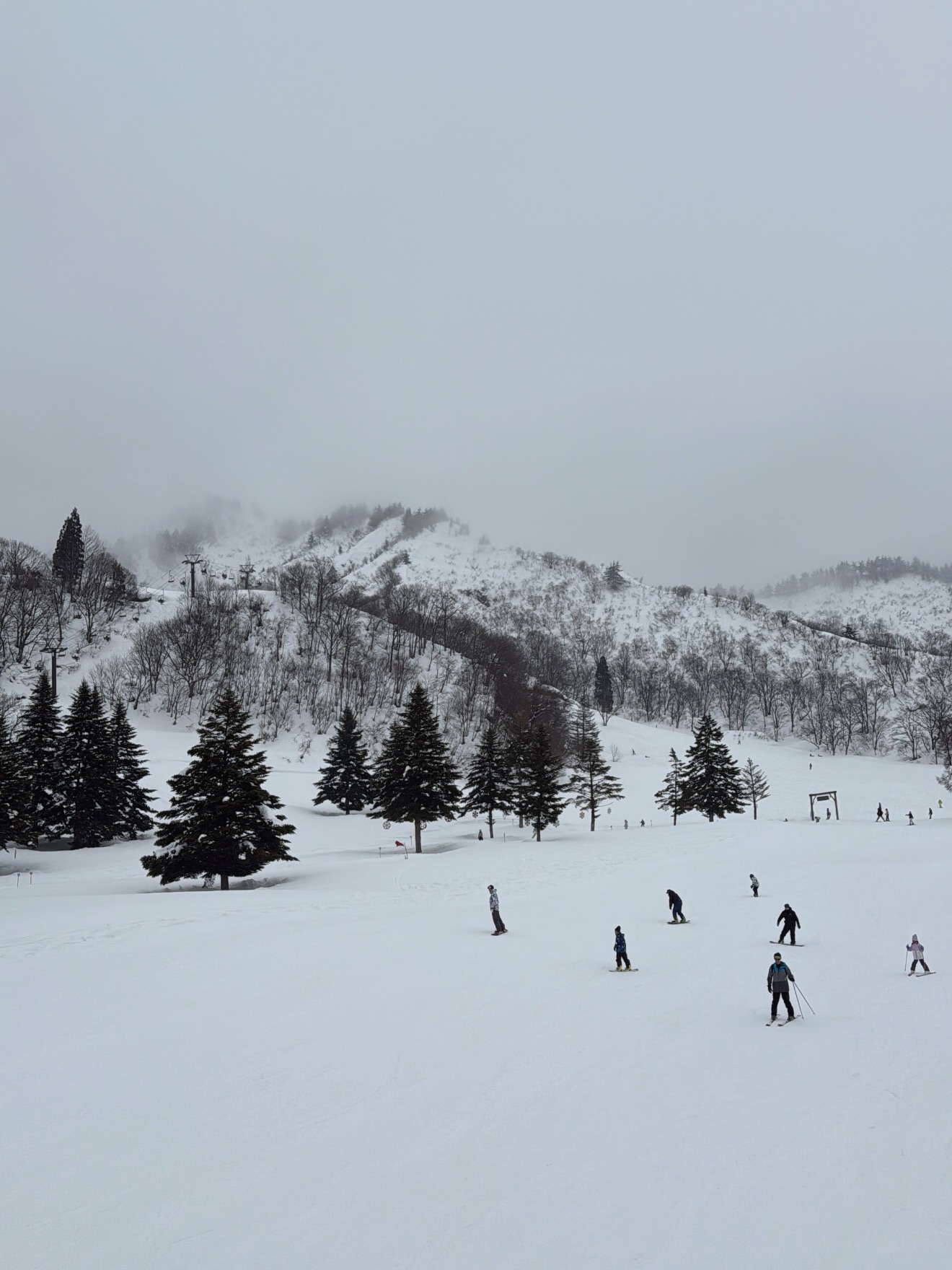 ฟาง - ธนันต์ธรญ์ นีระสิงห์