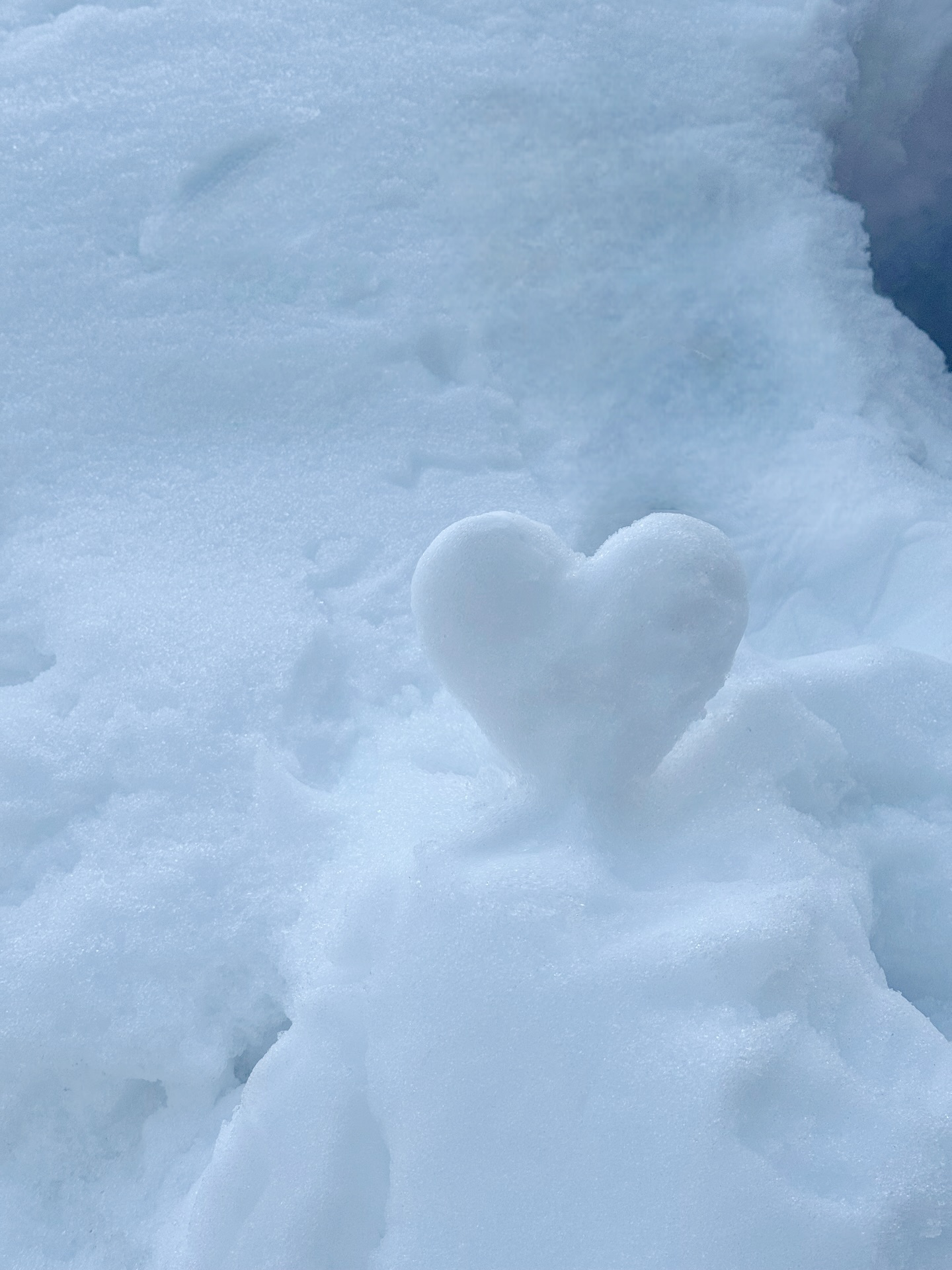 ฟาง - ธนันต์ธรญ์ นีระสิงห์