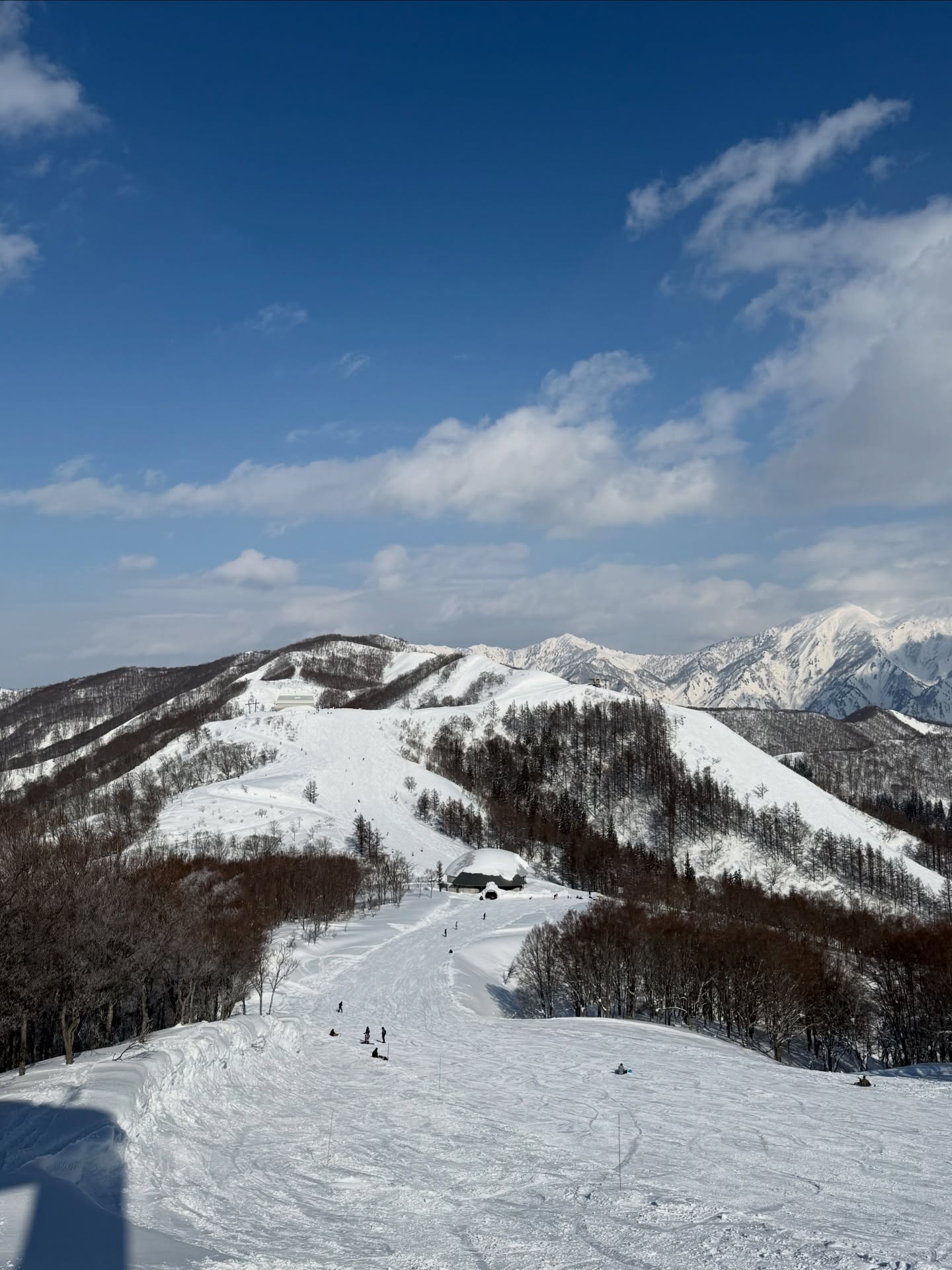 ฟาง - ธนันต์ธรญ์ นีระสิงห์