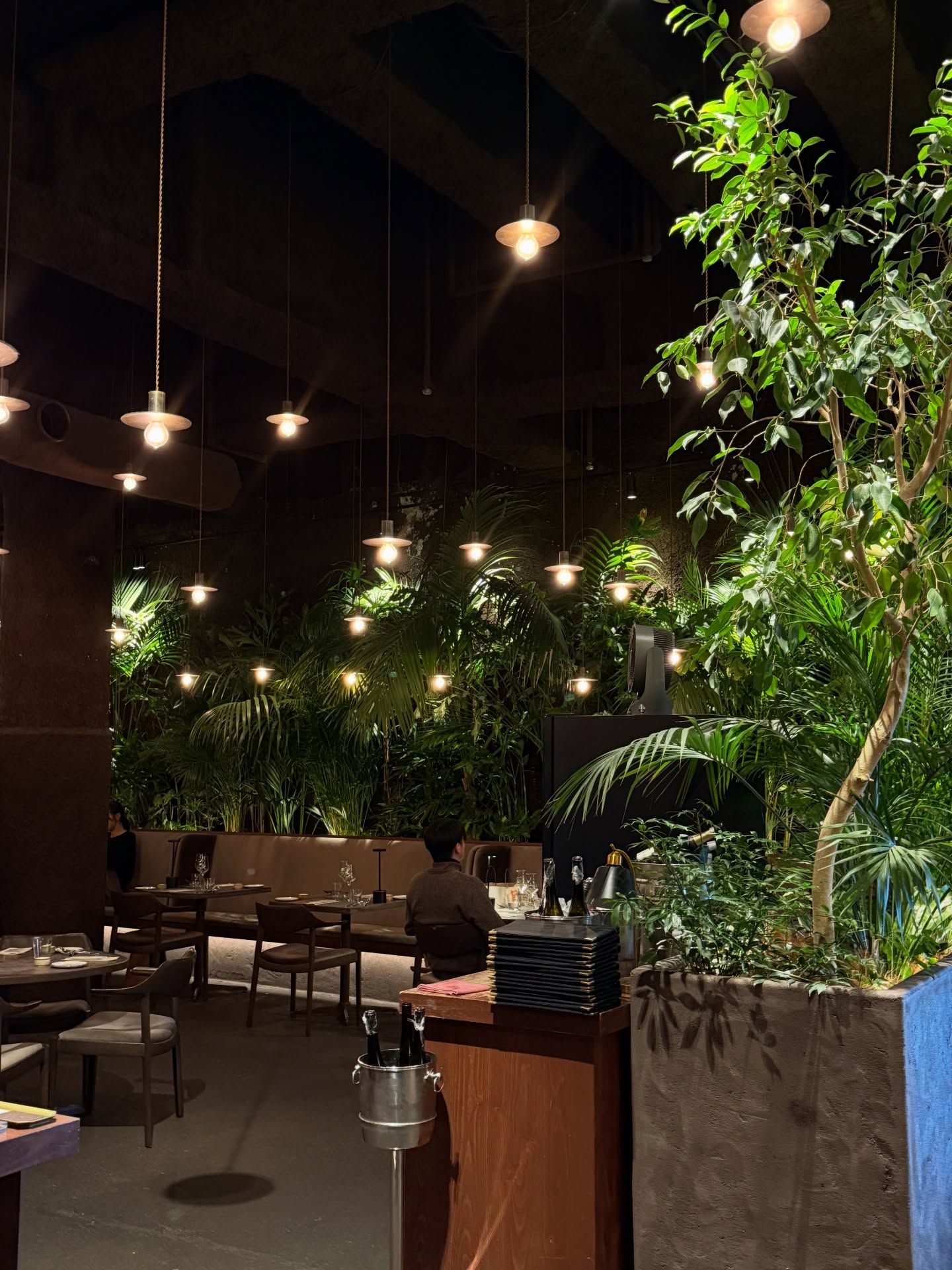 ฟาง - ธนันต์ธรญ์ นีระสิงห์