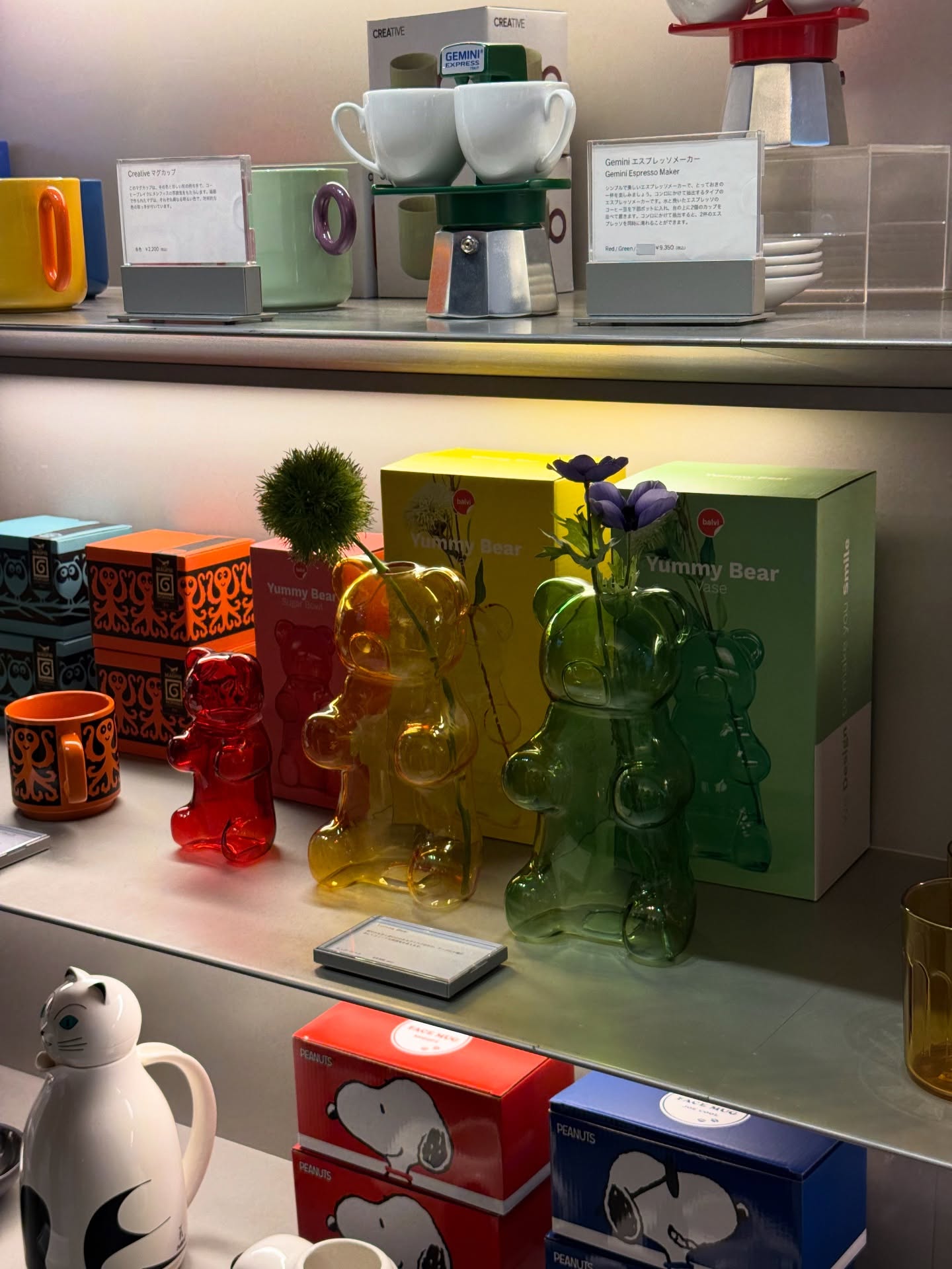 ฟาง - ธนันต์ธรญ์ นีระสิงห์