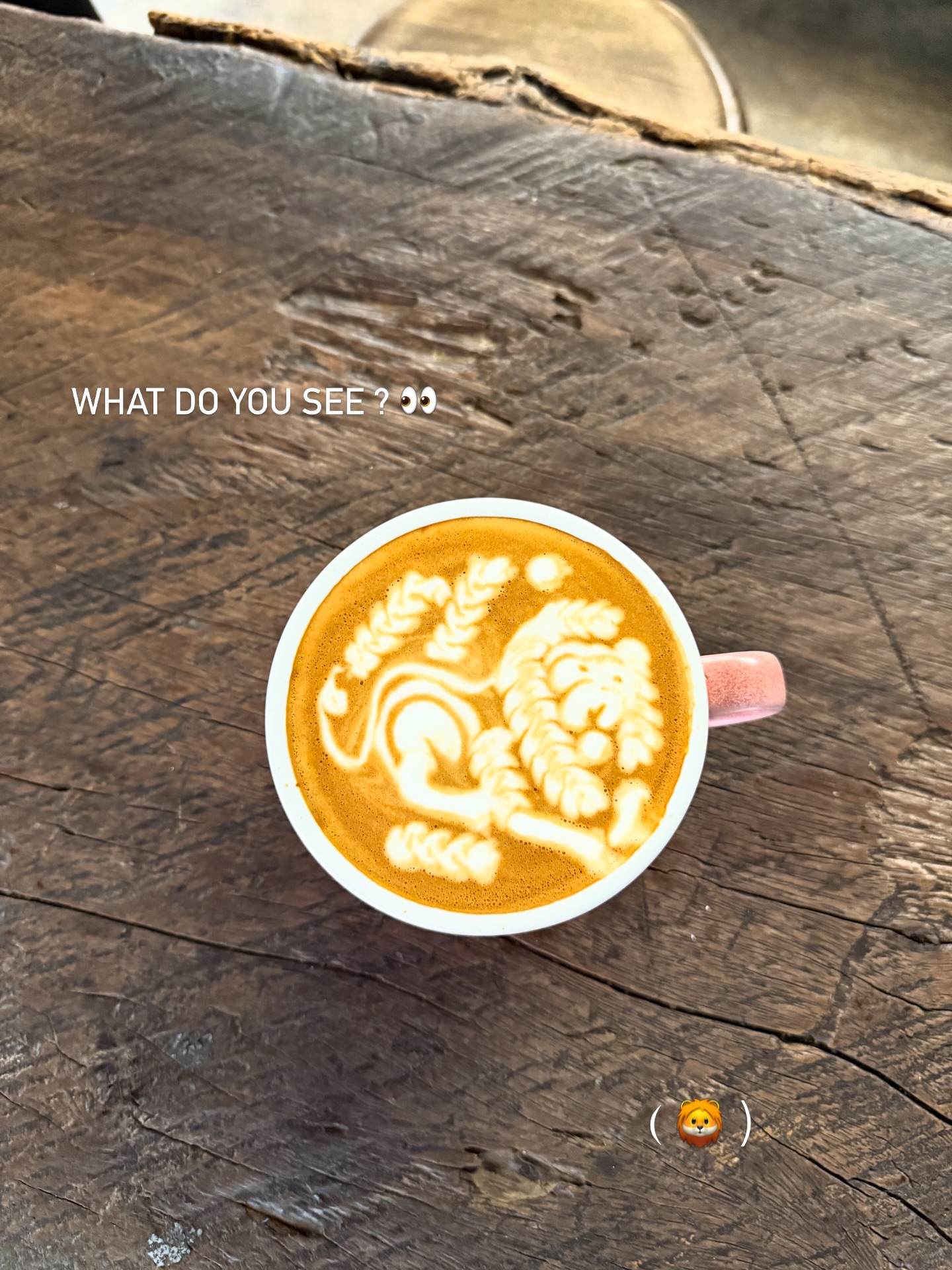 ฟาง - ธนันต์ธรญ์ นีระสิงห์